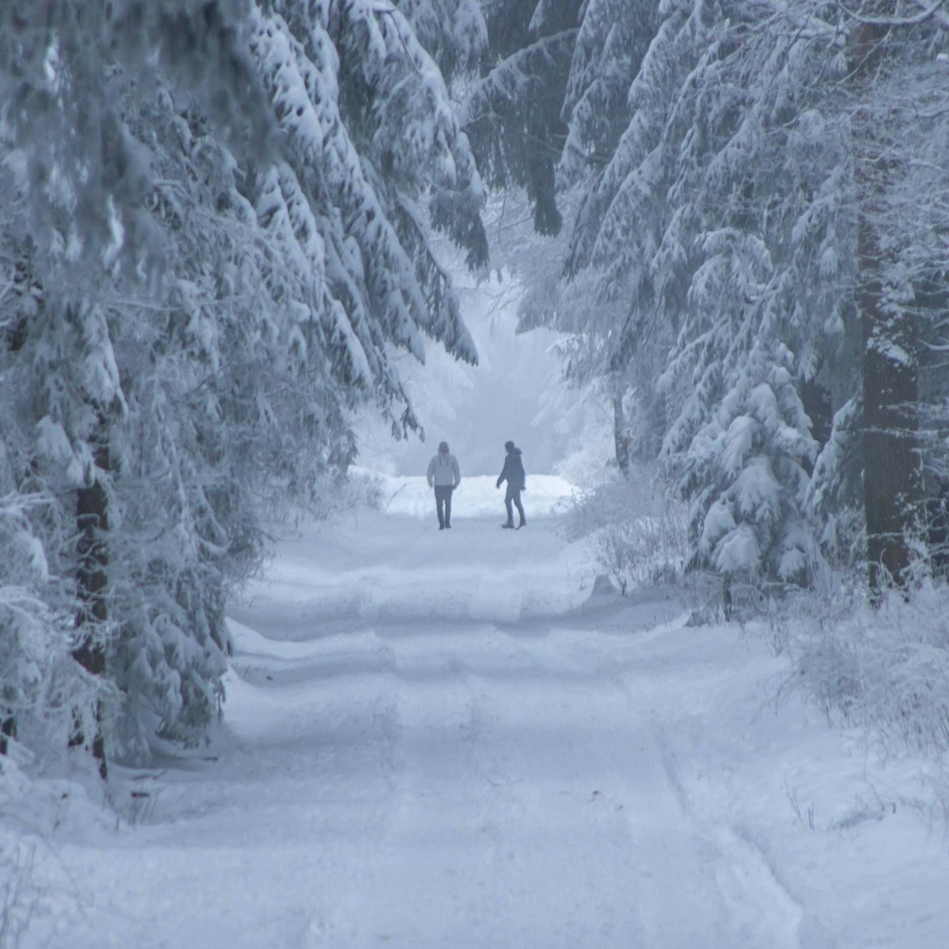 Achtung, Schneesturm! Wetterexperten sicher: 40 Zentimeter Neuschnee – versinken wir im weißen Pulver?