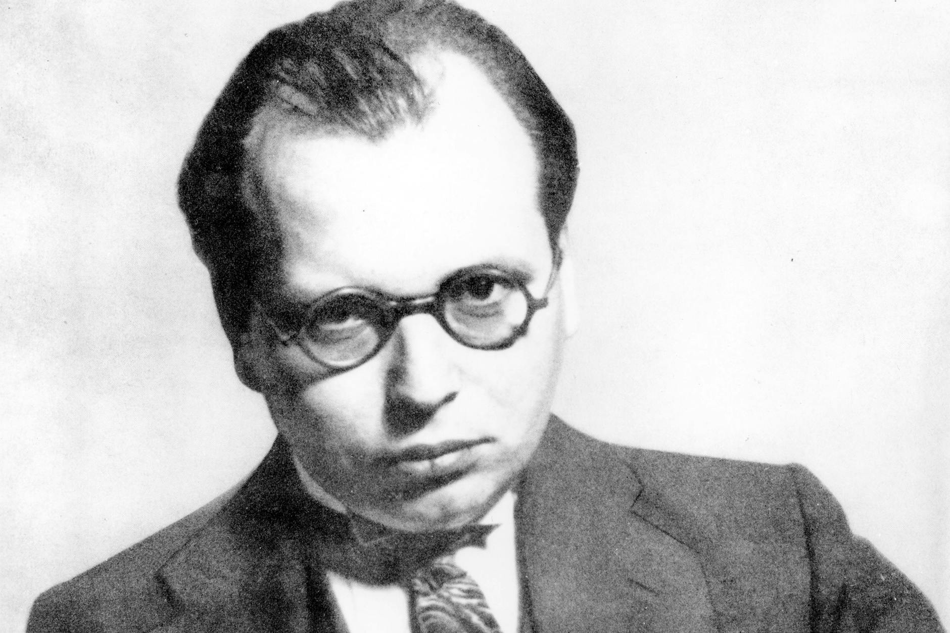 Der Anwalt Hans Litten