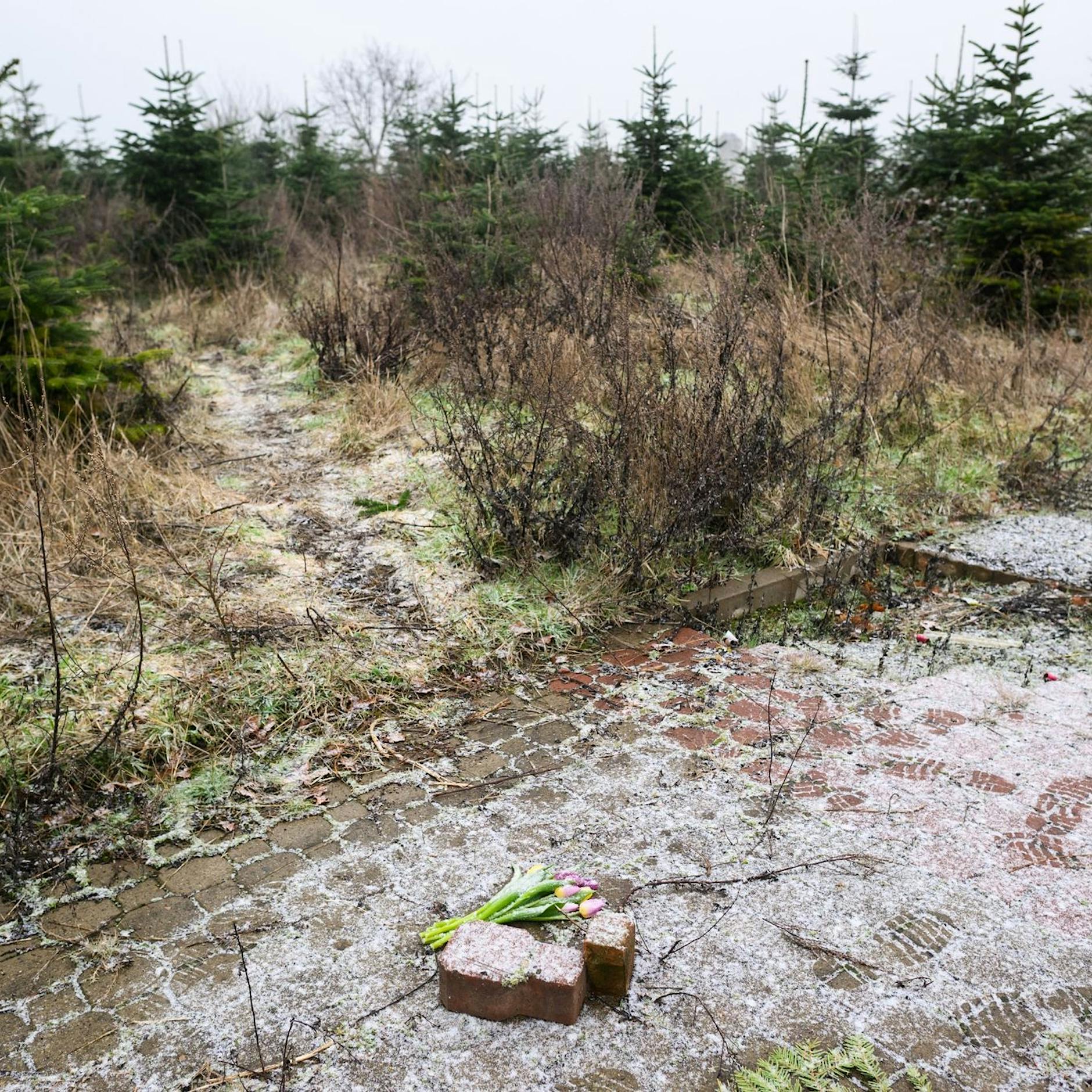 Obduktion: Jan N. (14) starb durch „stumpfe Gewalteinwirkung“ – brachte sein Spielkamerad ihn aus Lust am Töten um?