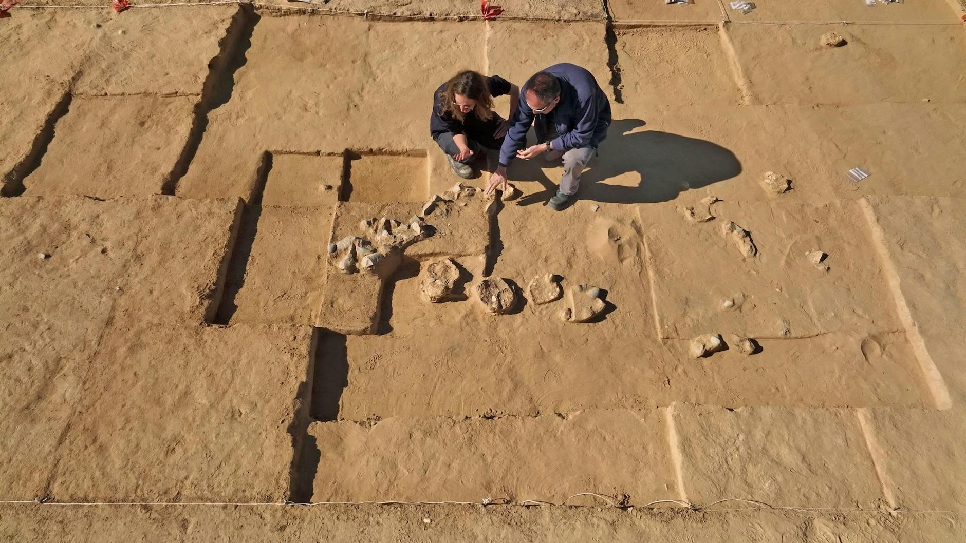 HANDOUT - Insgesamt acht jahrtausendealte Straußeneier sind in der israelischen Negev-Wüste entdeckt worden. Forscher fanden die zerbrochenen Schalen der Eier bei Ausgrabungen neben einer antiken Feuerstelle. msbehörde/dpa