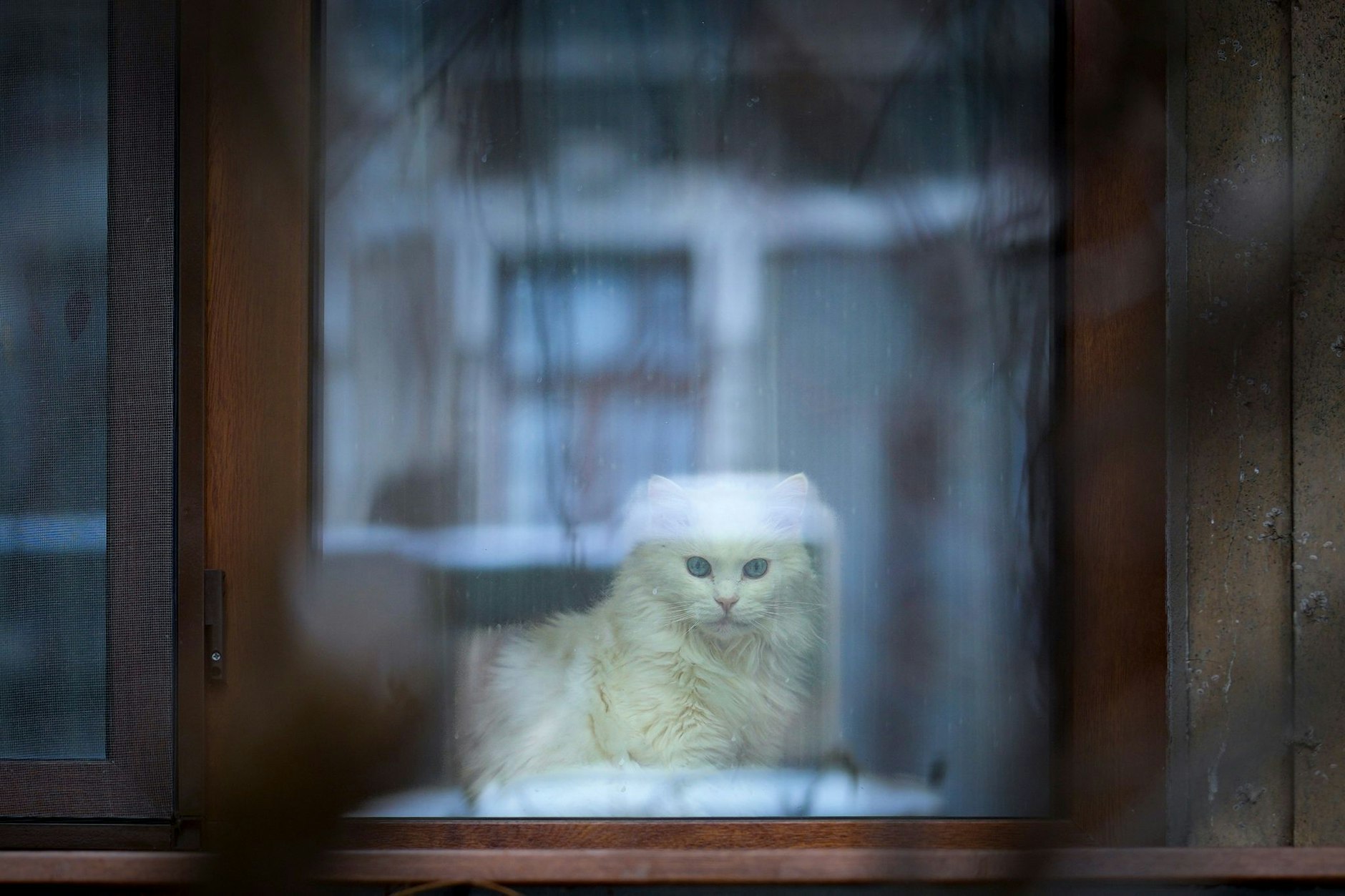 Da bleibt man doch lieber im Haus: Schneefälle haben in einigen Gebieten Zentralrumäniens zu Verkehrsbehinderungen geführt.  
