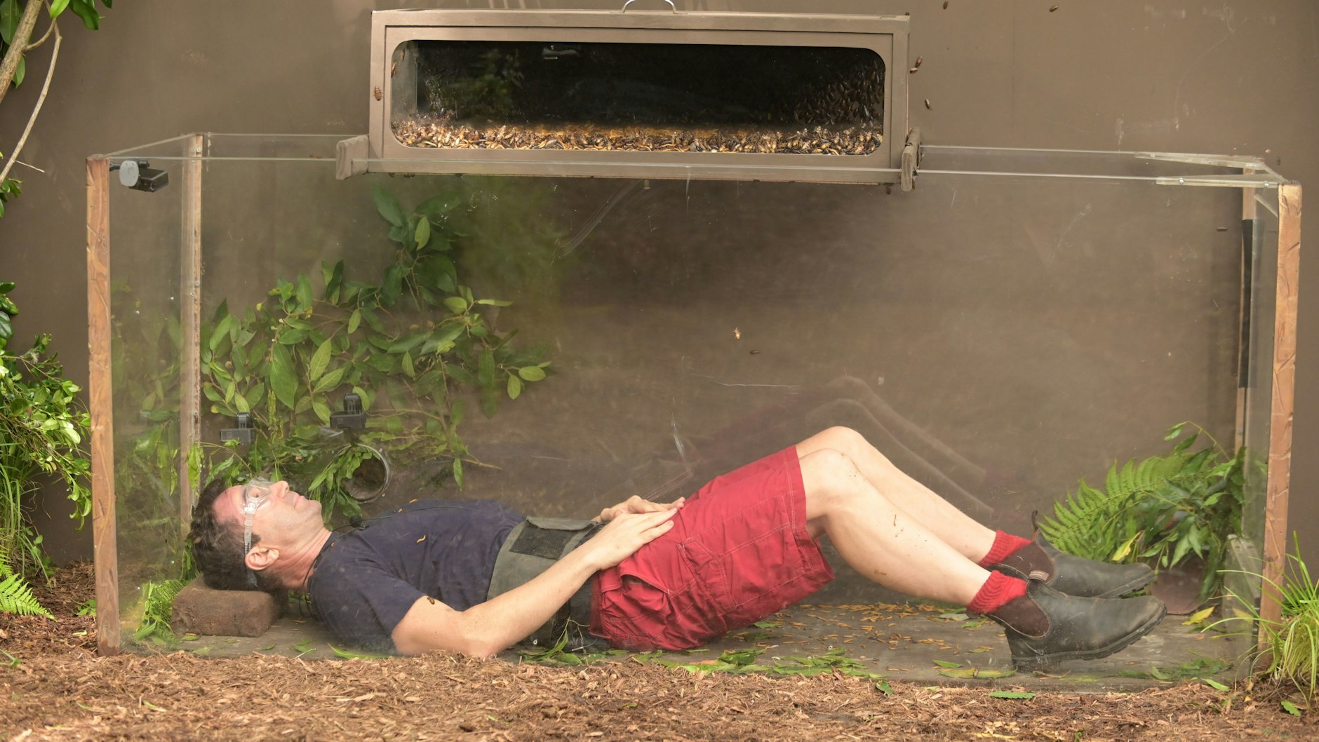 Lucas Cordalis in seiner Prüfung im Finale beim Dschungelcamp - der Sohn von Schlager-Legende Costa Cordalis musste liegen.