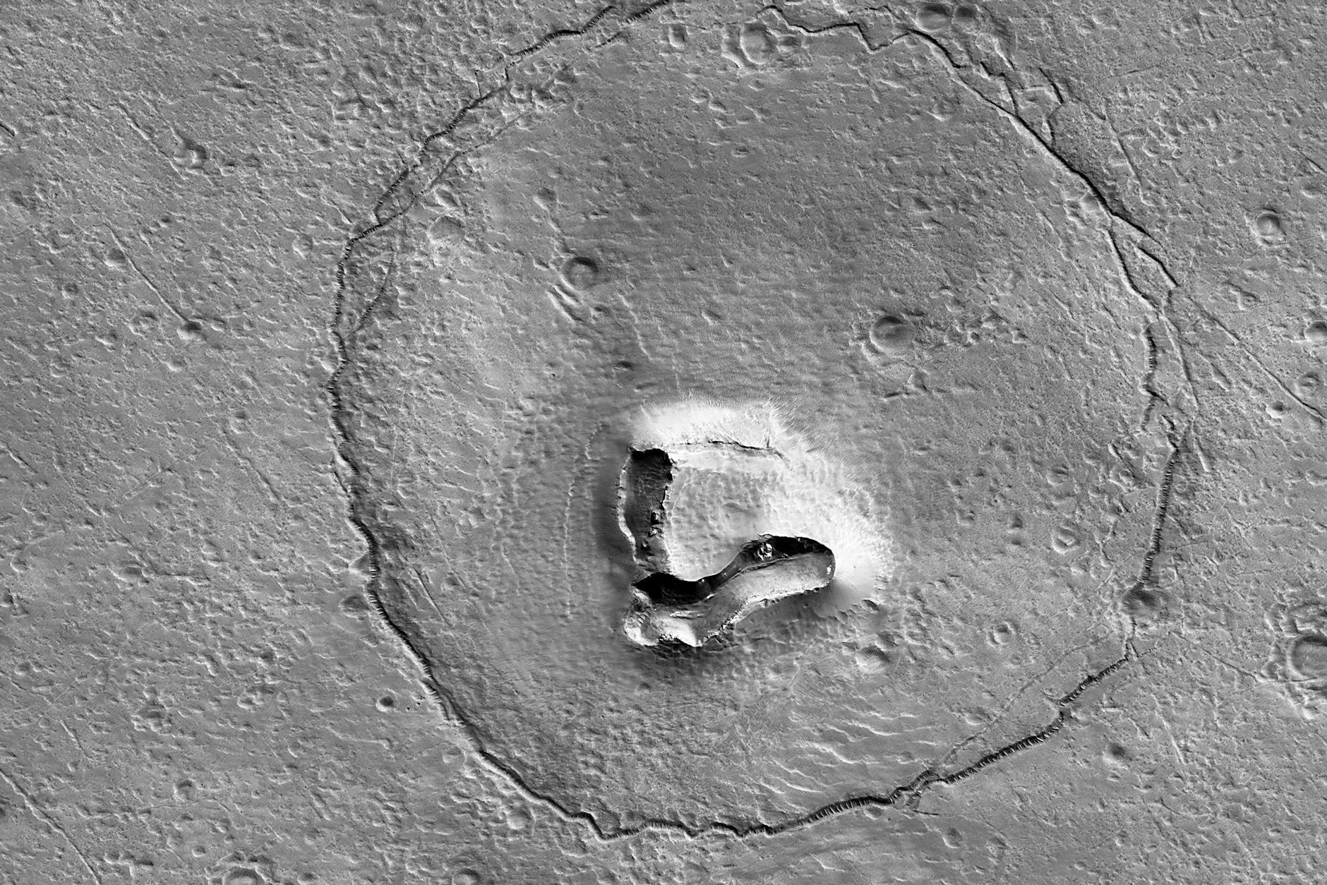 Lacht da etwa ein Bär auf den Fotos der Nasa vom Mars?