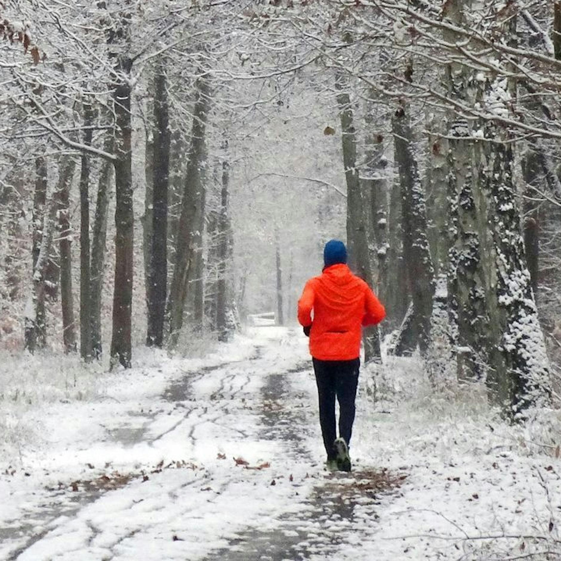 Wie bitte? Irre Prognose beim Wetter: 1 Meter Neuschnee angesagt! Jetzt wird der Winter richtig schmuddelig …