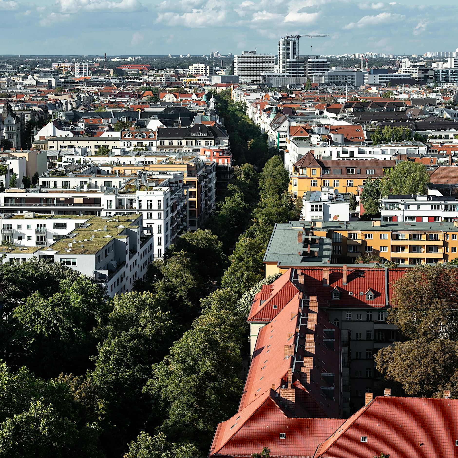 Bäume statt Bauen: So soll sich Berlin auf den Klimawandel einstellen
