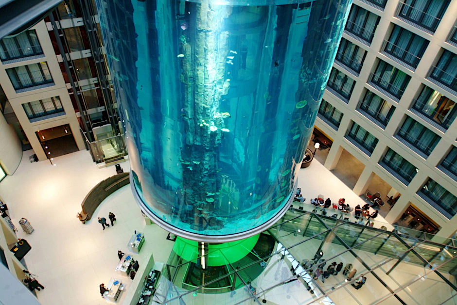 Das zylindrische Aquarium tropfte schon 2019. Im Dezember 2022 ist es geplatzt.
