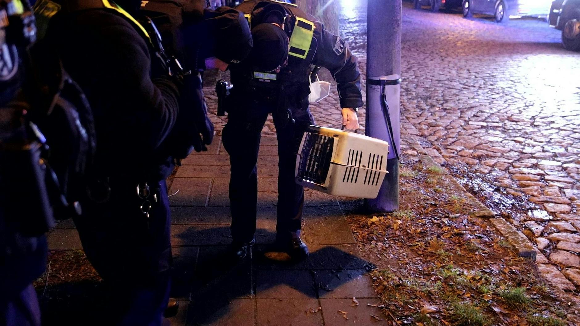 Eine verletzte Katze konnte aus dem Haus gerettet werden.