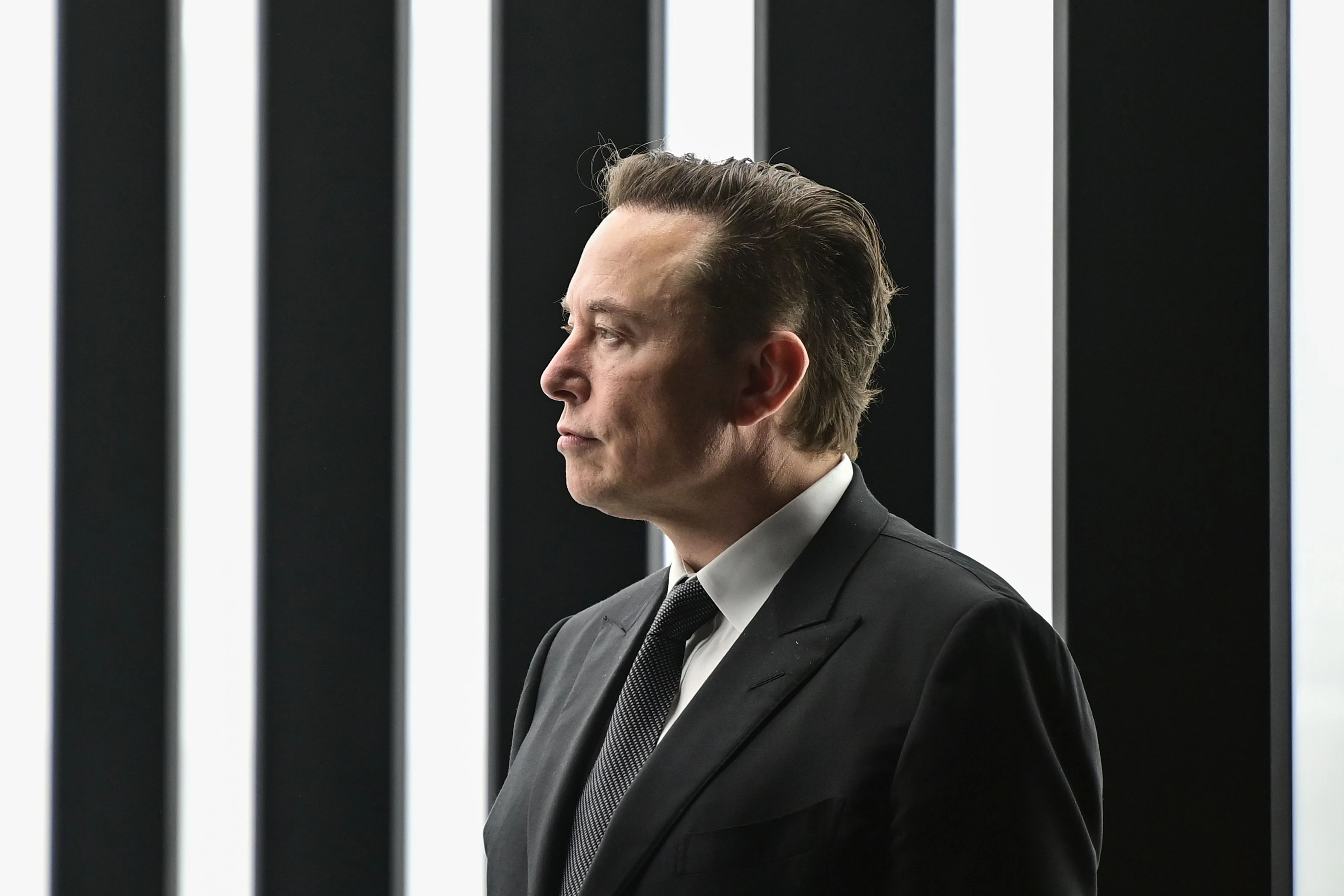 Der Tesla-Chef Elon Musk.