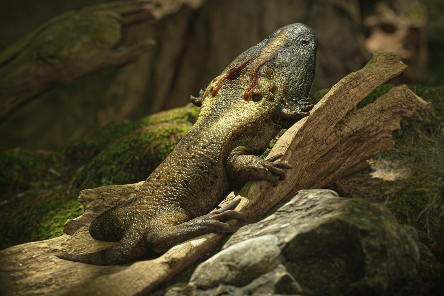 Spitzname „Marcel“, Taufname „Chemnitzion richteri“: So in etwa muss ein Dachschädellurch vor 291 Millionen Jahren ausgesehen haben.