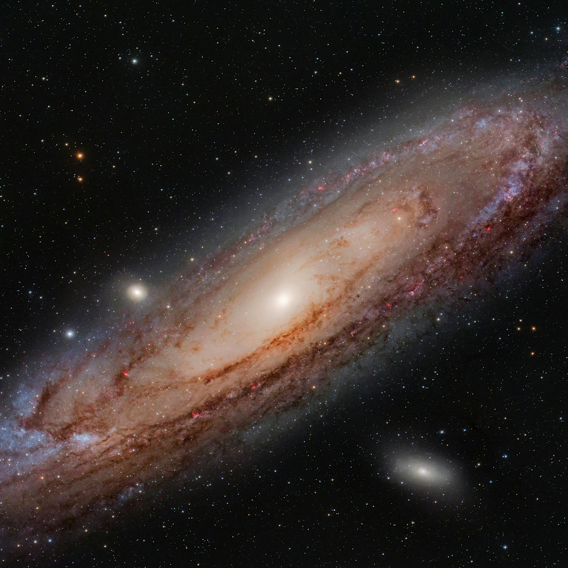 Suche nach Außerirdischen: KI findet acht potentielle Alien-Signale