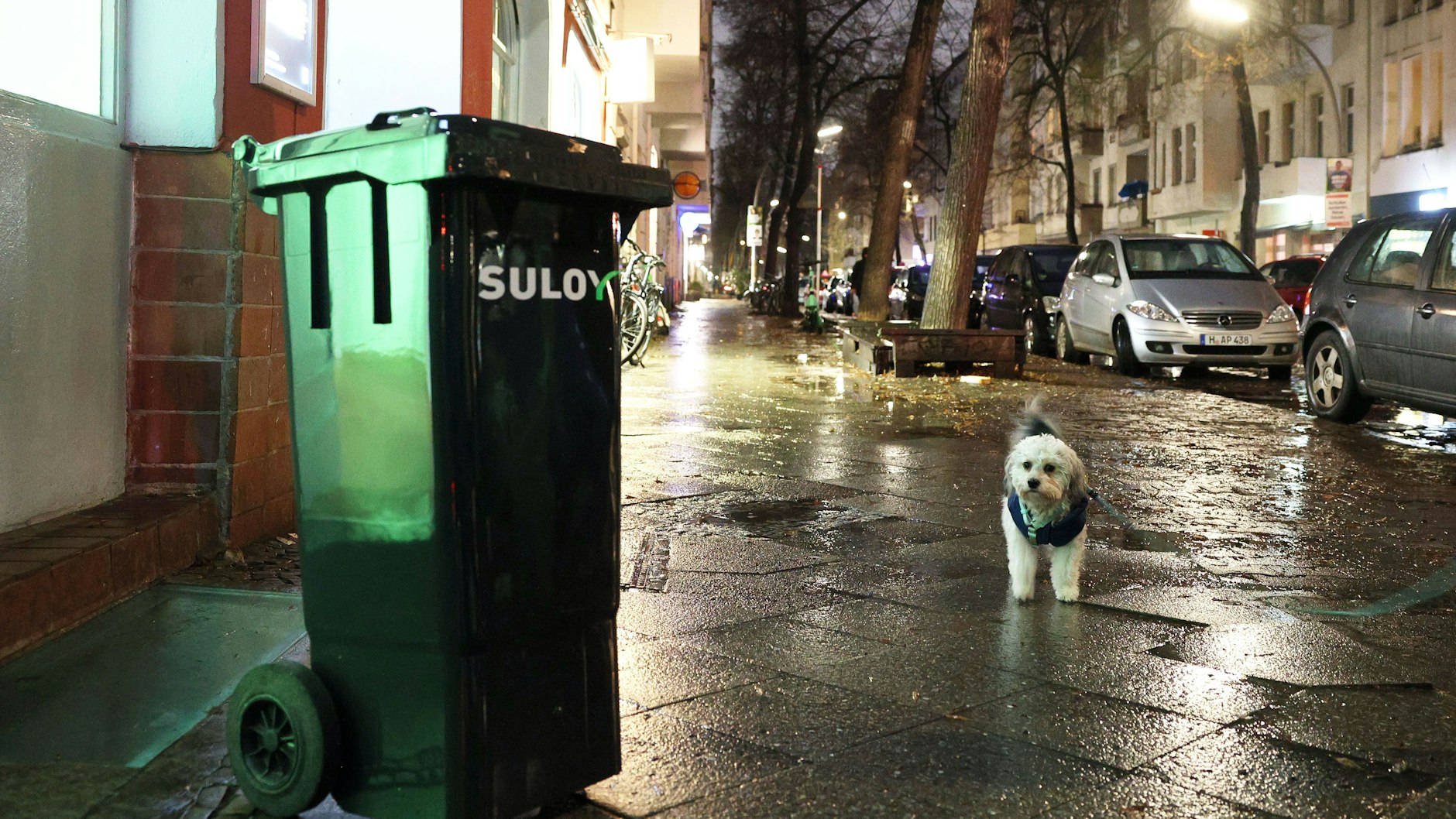 Mit einer gewissen Skepsis beobachtet ein Neuköllner Hund die fahrende Mülltonne.