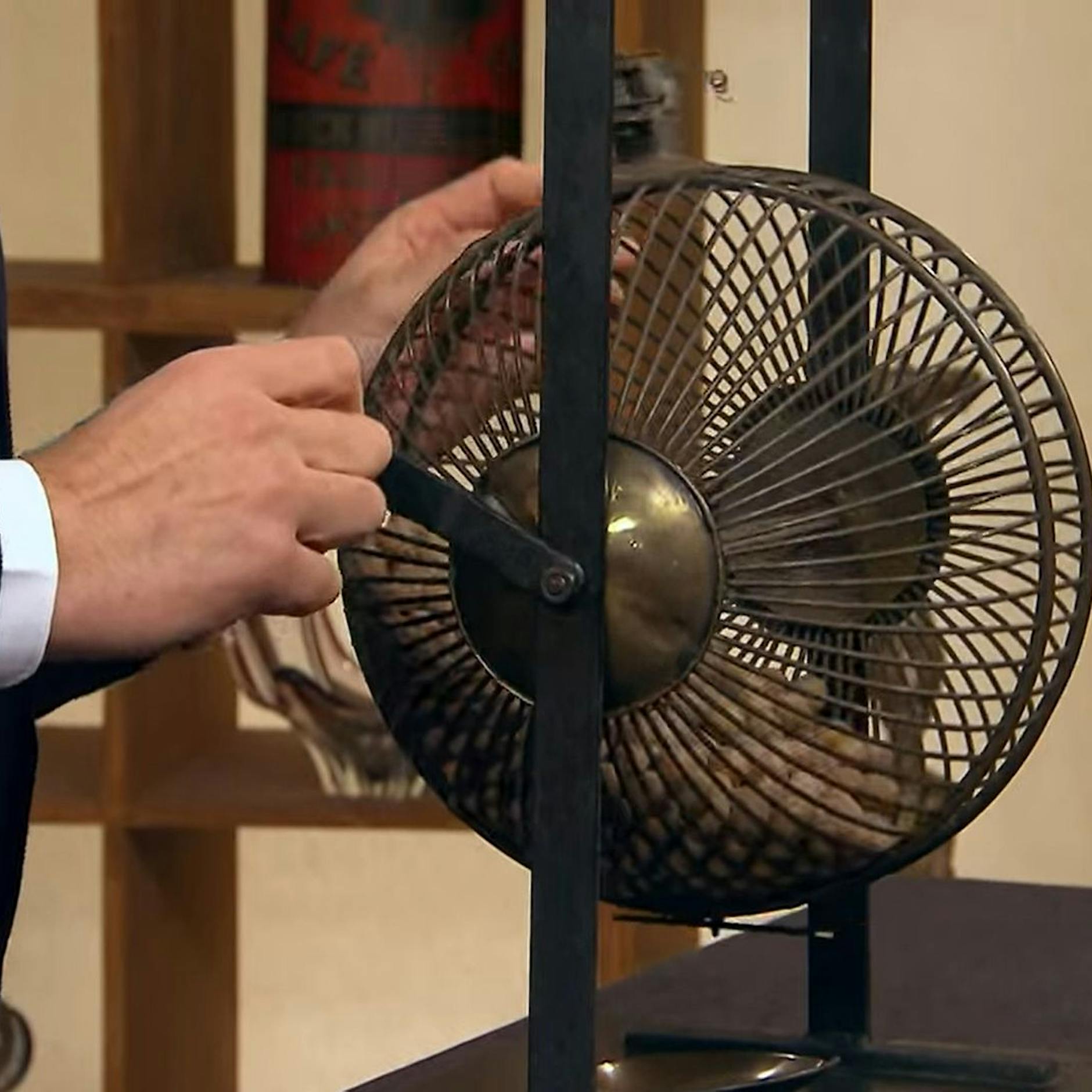 Bares für Rares: Wilde Zockerei um ein „Bällebad für Hamster“