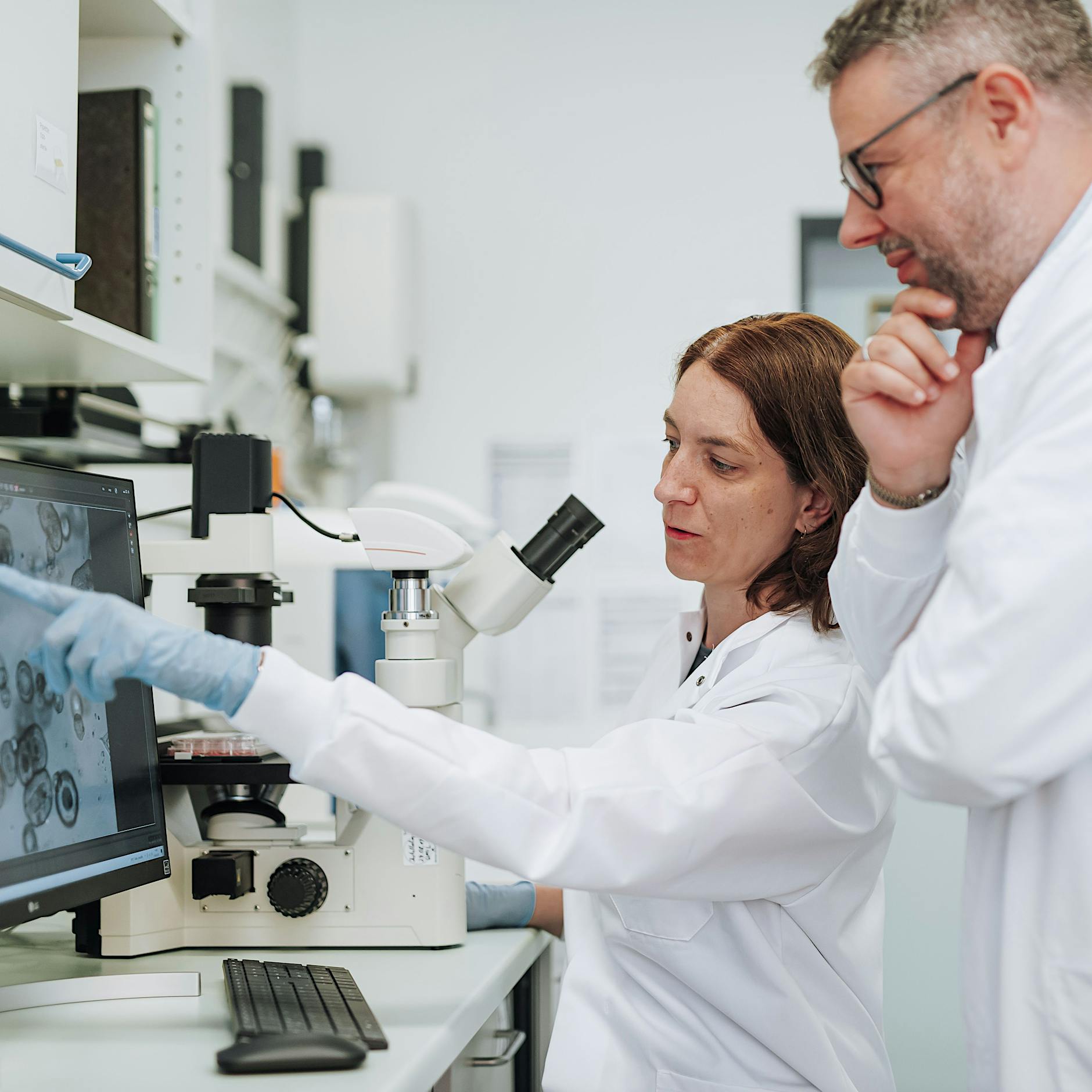 Berliner Forscher testen im Labor: So steigen Ihre Chancen, Krebs zu besiegen