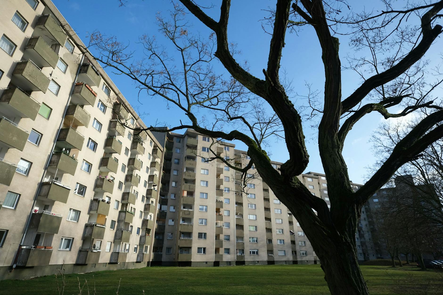 Große Wohnblöcke, dazwischen aber auch Ruhe und Grünflächen: die Siedlung im Spektefeld. 