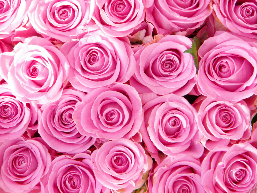 Bitte keine Rosen! Ein Blumenstrauß zum Valentinstag kann auch nachhaltig sein