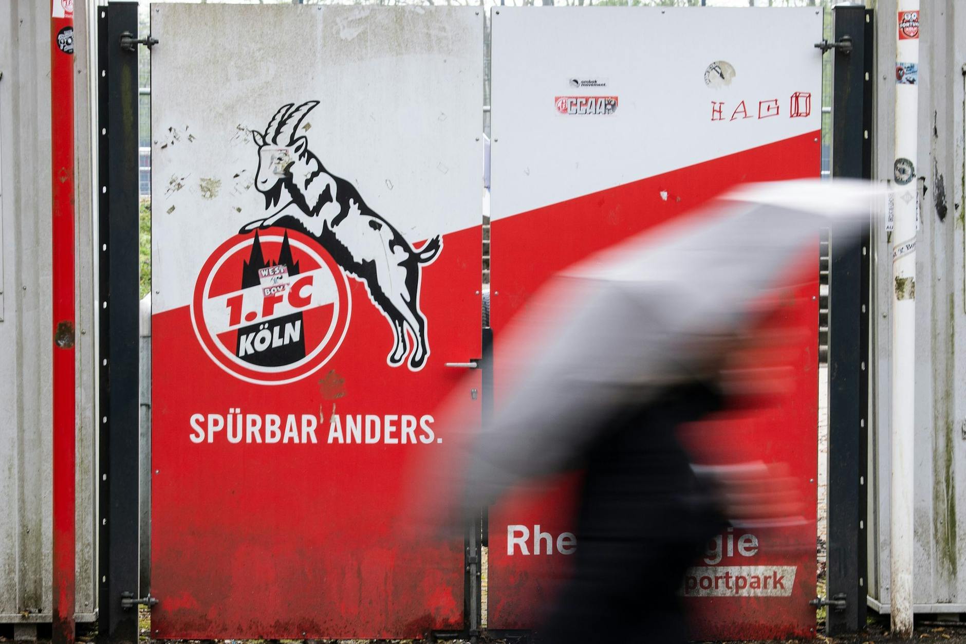 ARCHIV - Der 1. FC Köln verliert in der VBL Club Championship den Anschluss an Hansa Rostock.