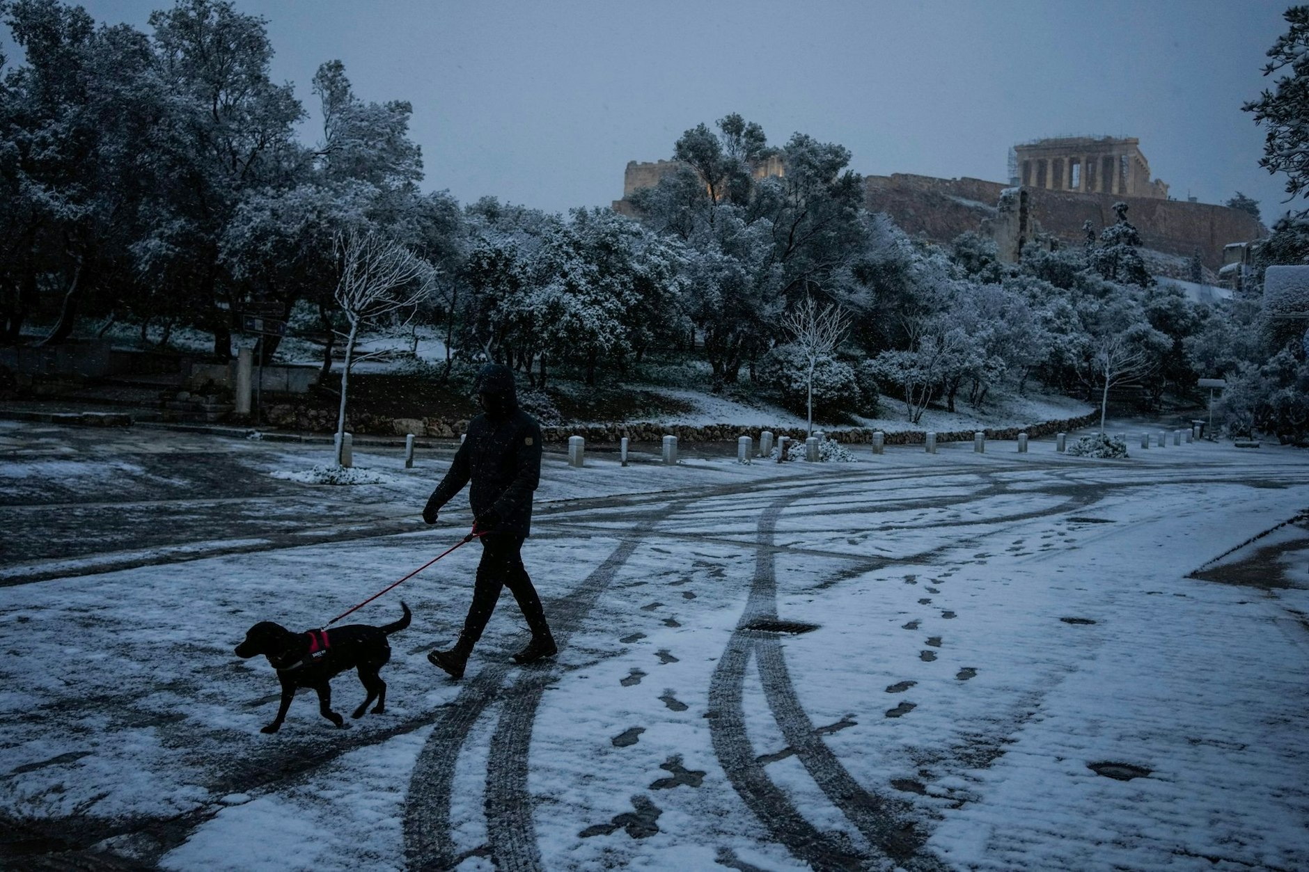 Nach einem Kälteeinbruch in Südgriechenland geht ein Mann bei Schneefall mit seinem Hund vor dem antiken Akropolis-Hügel mit dem Parthenon-Tempel spazieren.  