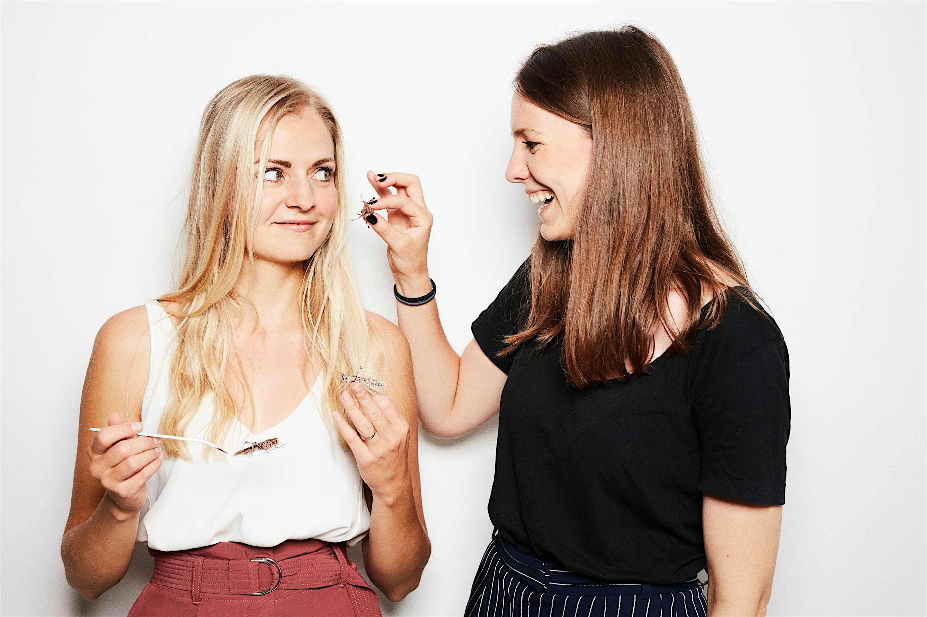 Frikadellen aus Insektenpulver? Echt jetzt? Schmecken die?