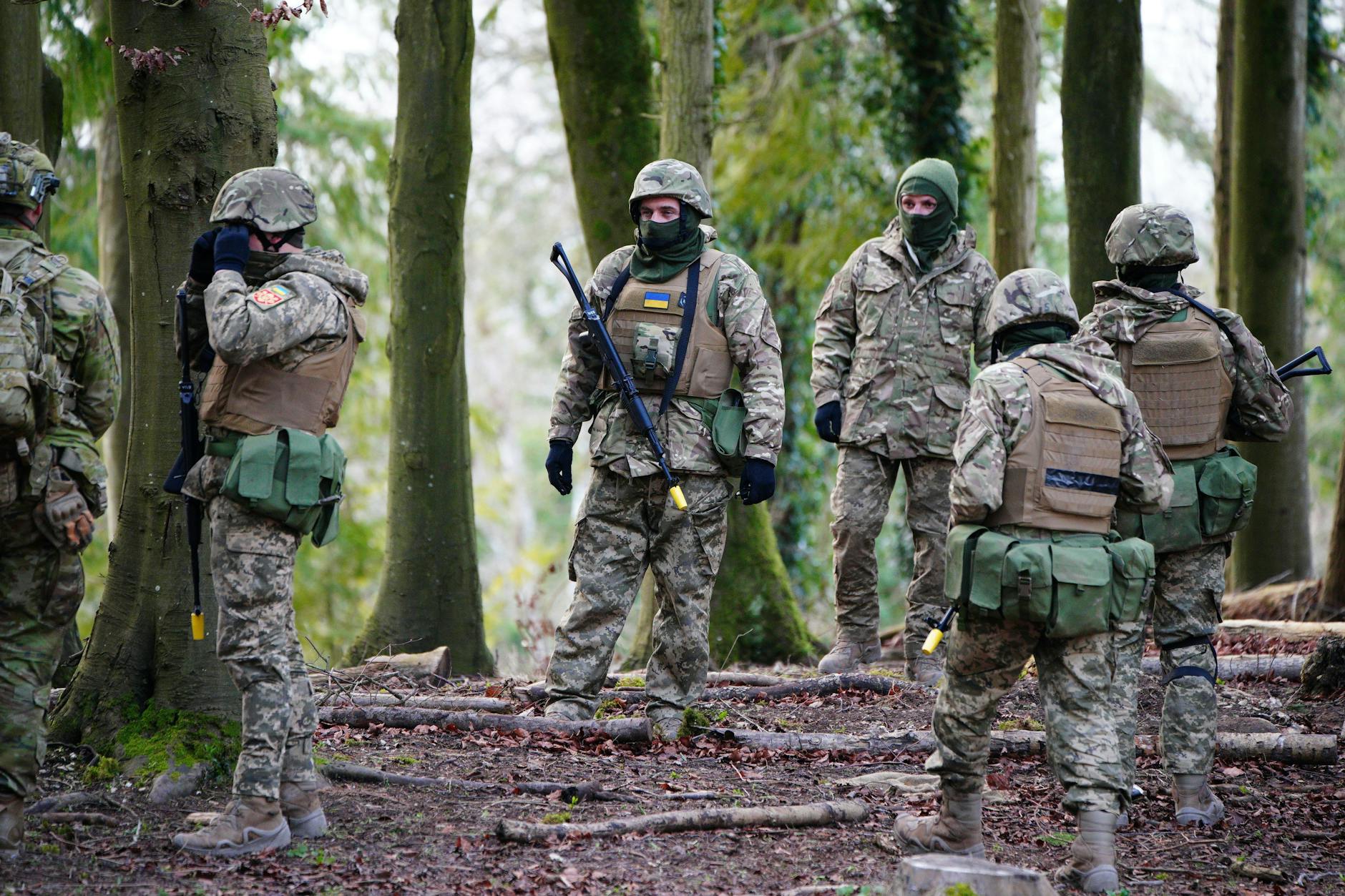 Ukrainische Soldaten stehen bei einer Ausbildung in einem Wald (Symbolbild). 