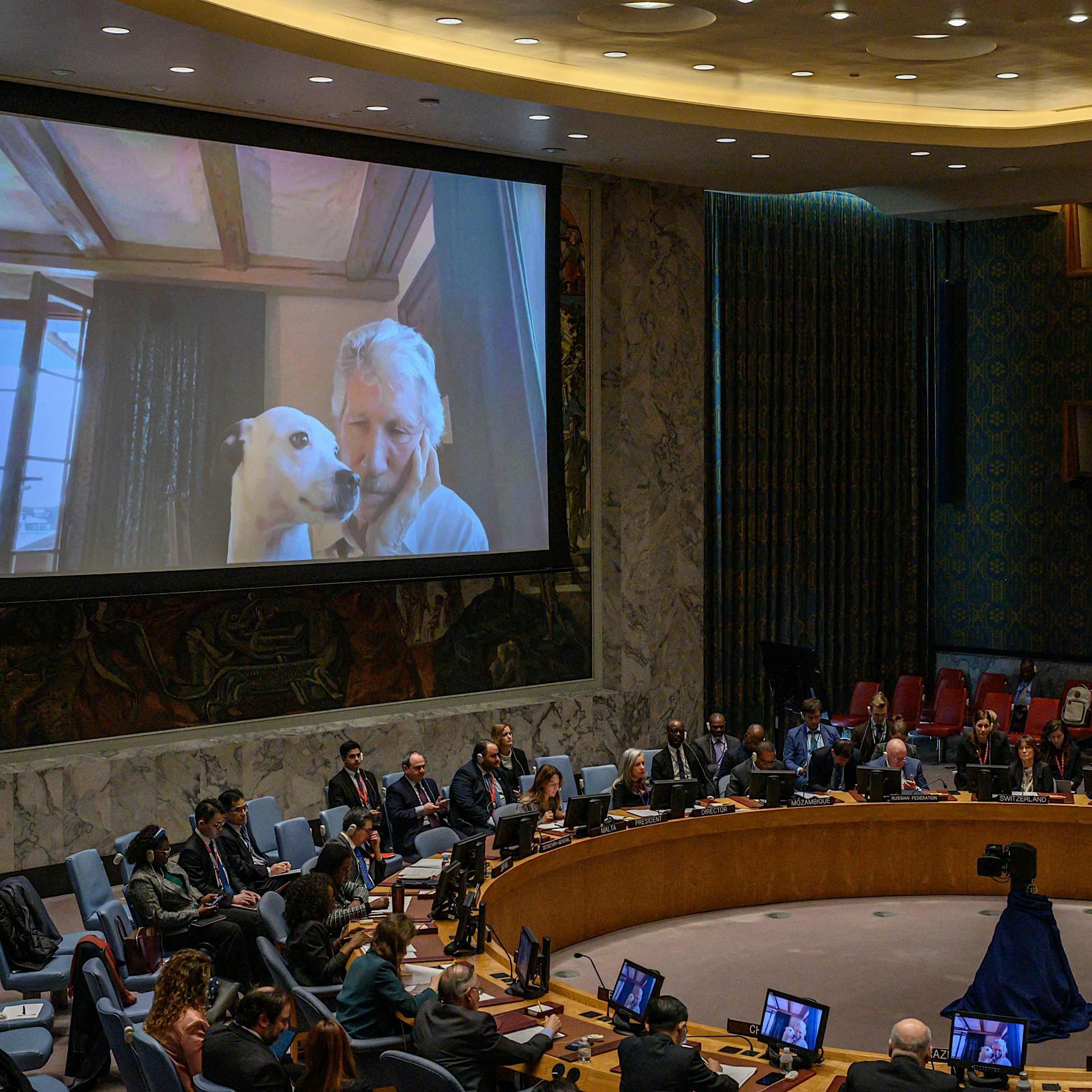 Roger Waters vor UN-Sicherheitsrat: „Die Invasion war nicht unprovoziert“