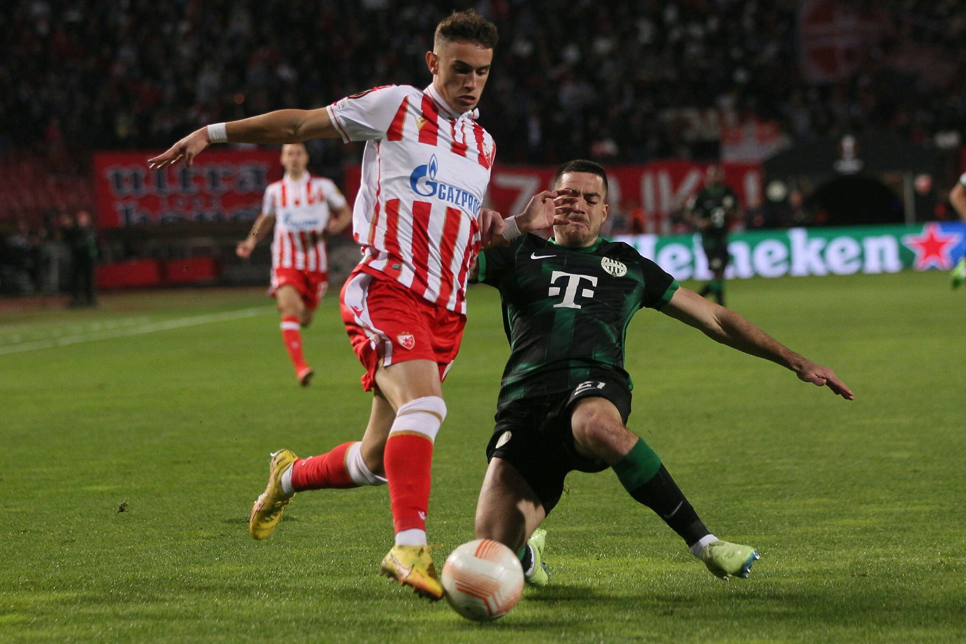 Stefan Mitrovic (l.) sammelte bei Roter Stern schon Erfahrung in der Europa League und wurde beim serbischen Top-Klub schnell Stammspieler.