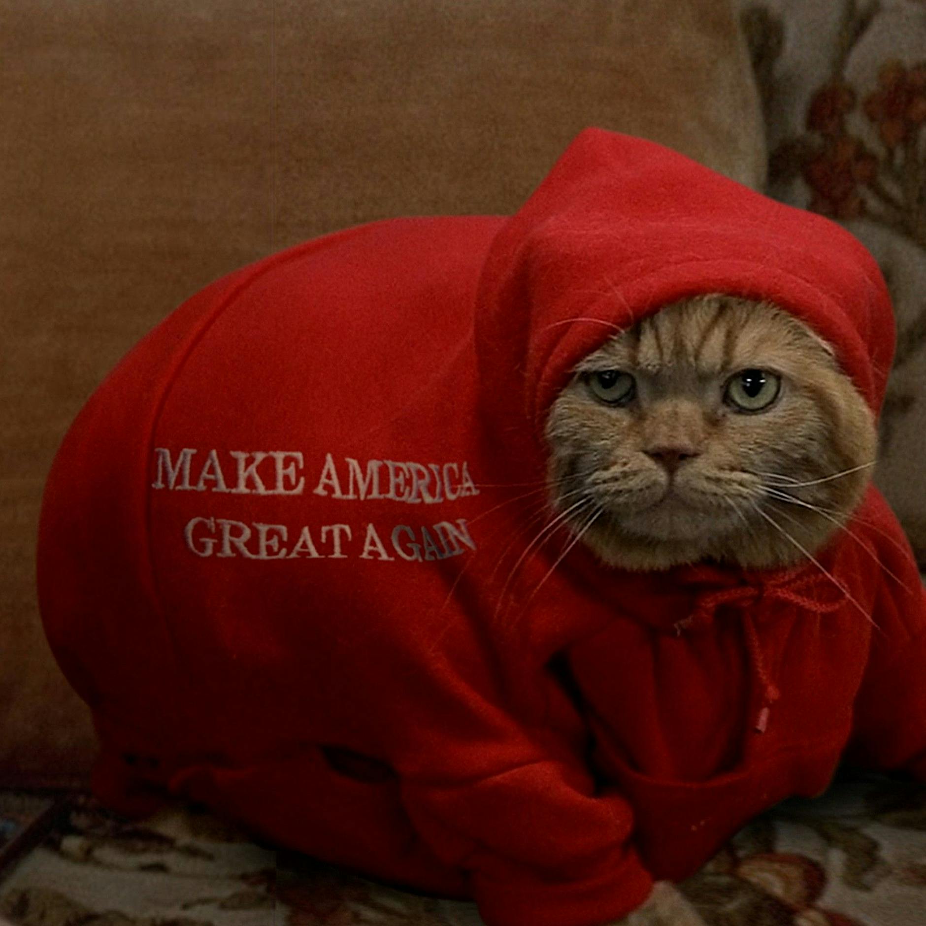 Vorfreude auf die Berlinale: 24 Highlights aus dem Programm