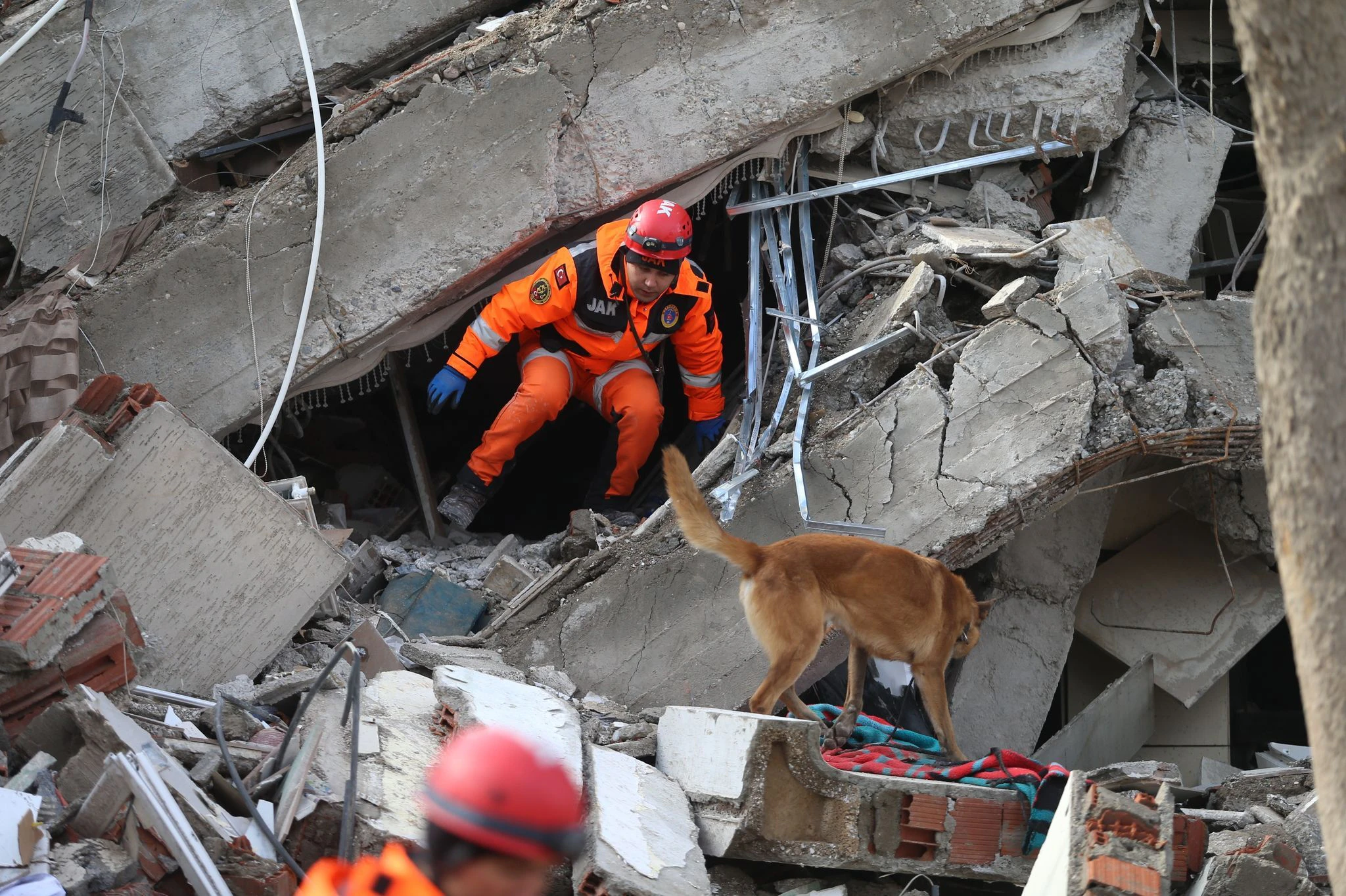 Ein Retter und sein Hund suchen im türkischen Kahramanmaras in den Trümmern eines Gebäudes nach Überlebenden.