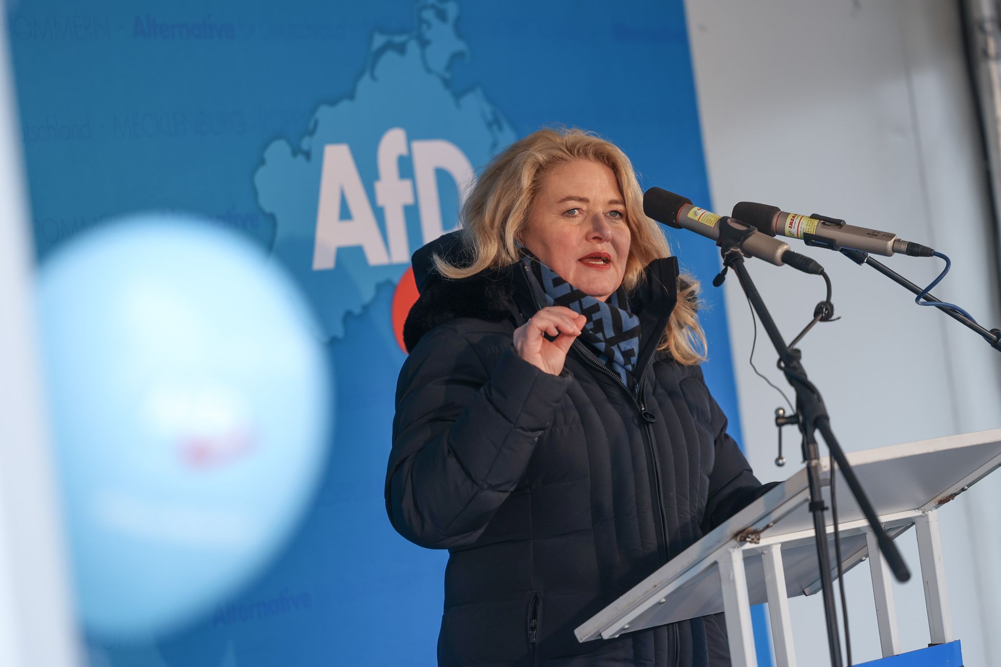 Image - So will Spitzenkandidatin Kristin Brinker den Niedergang der AfD in Berlin stoppen