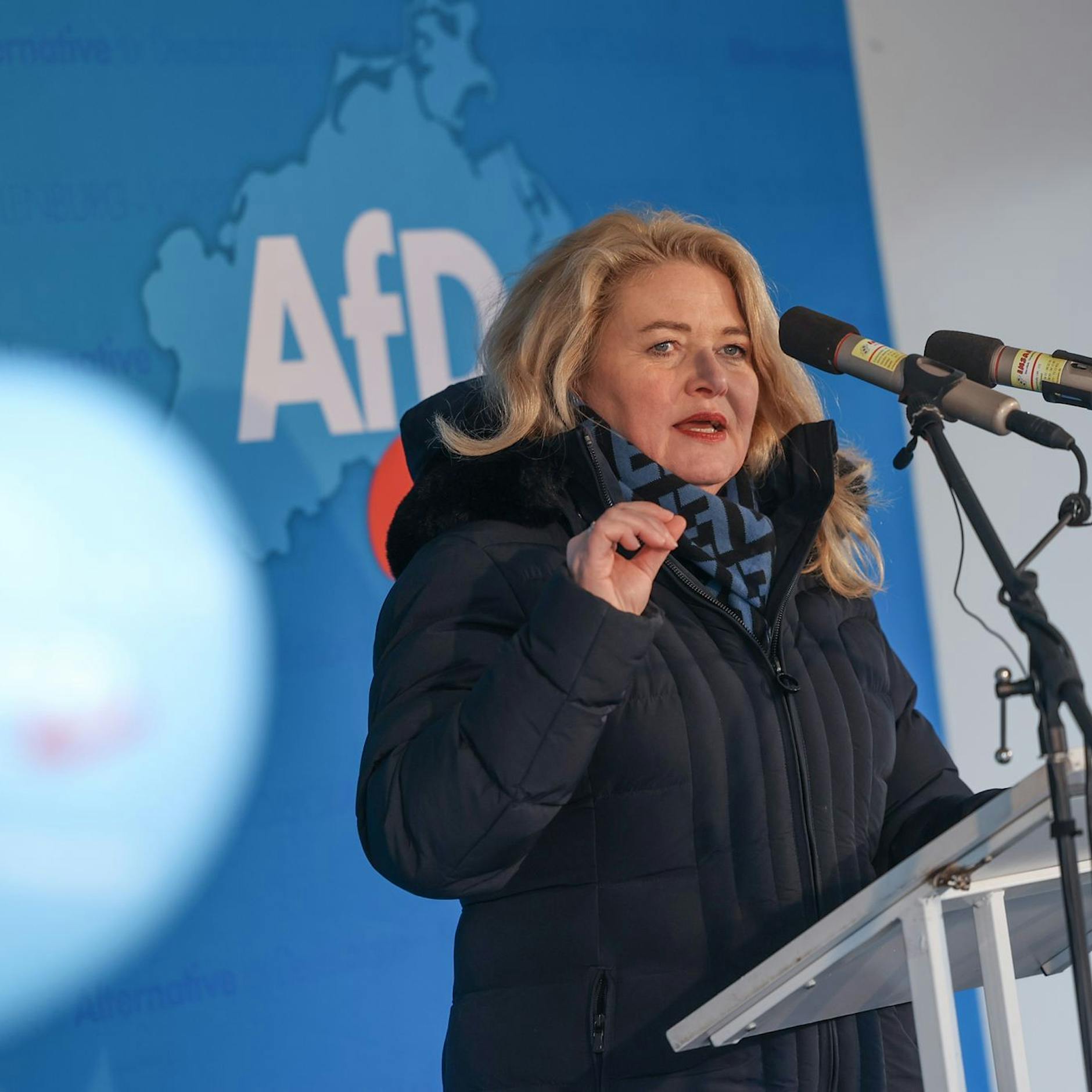 So will Spitzenkandidatin Kristin Brinker den Niedergang der AfD in Berlin stoppen