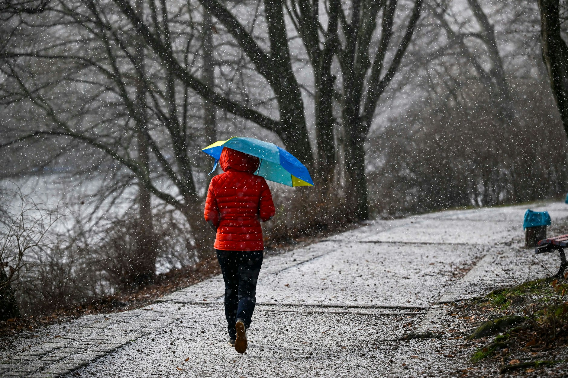 30. Januar, Volkspark Wilmersdorf: Wir Menschen mögen Hagelschauer nicht so sehr, für die Natur verwandeln sich die Eiskörner in wohltuendes Nass.
