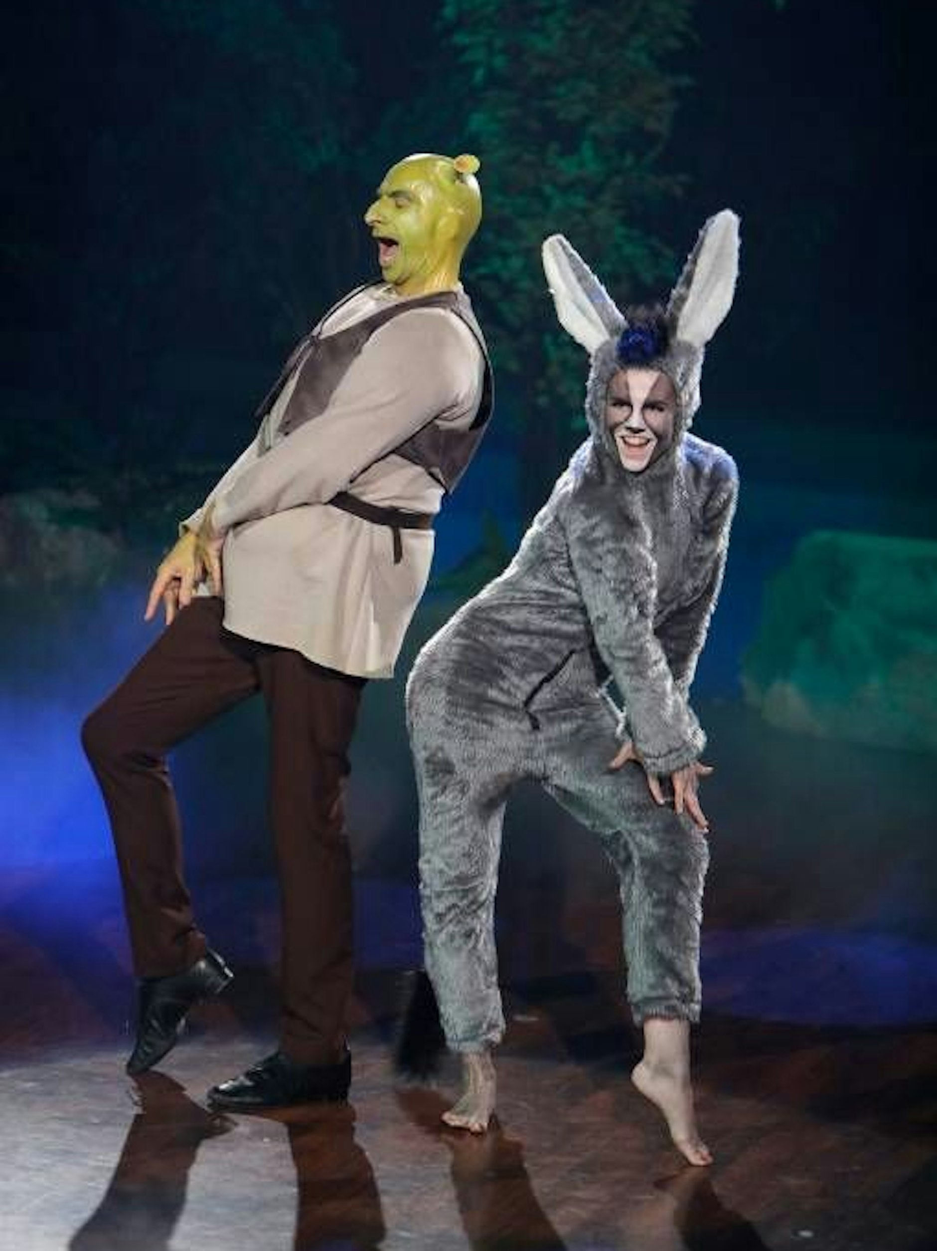 Im „Let’s Dance“-Final-Freestyle von Ingolf Lück war Mariia als Esel auf der Tanzfläche.