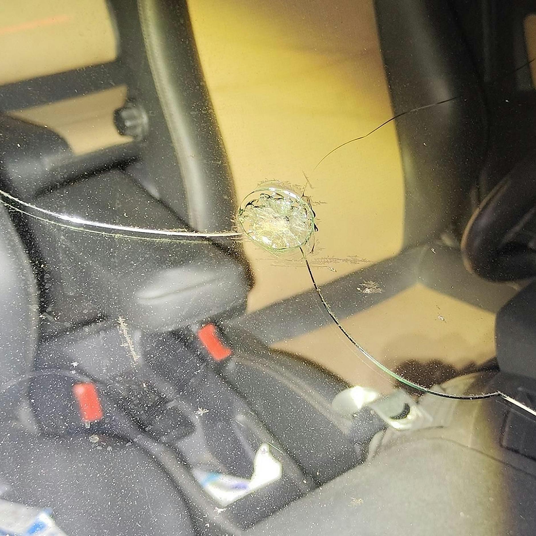 Der kriminelle Wochenrückblick: Nackter Mann springt in Zehlendorf auf Auto herum