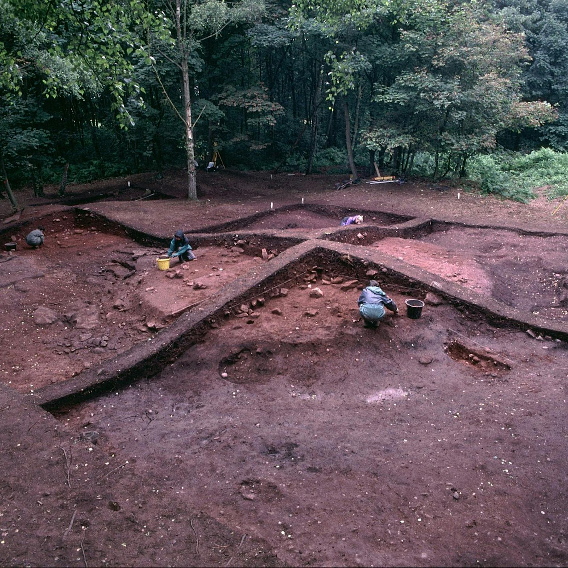Wikinger hatten engeres Verhältnis zu Tieren als gedacht