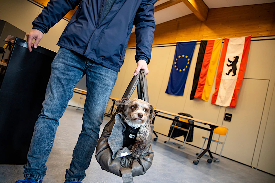 Darf der Kleine etwa auch wählen? Ein Berliner kommt mit seinem Hund Jogi ins Wahllokal.