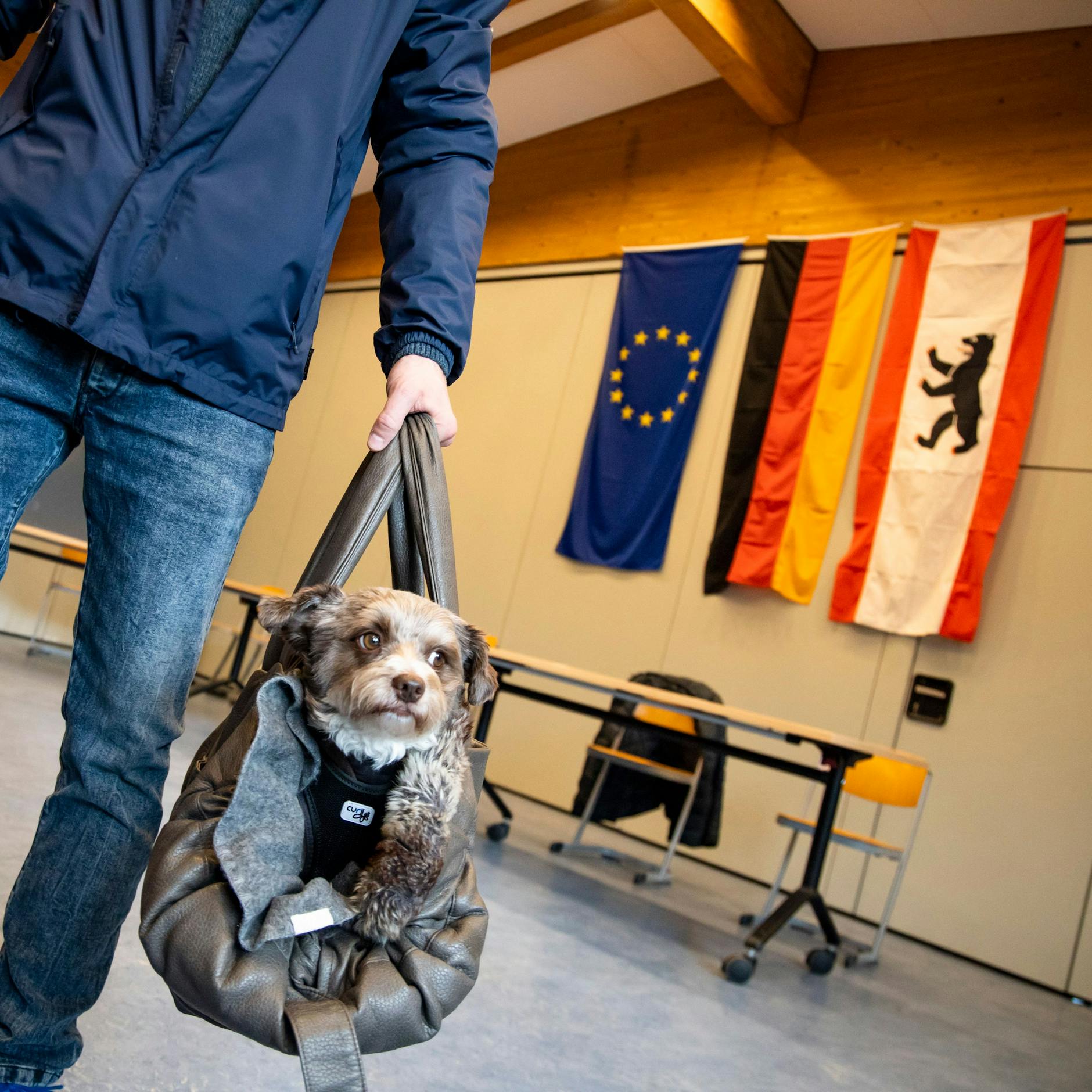 Image - Wiederholungswahl in Berlin: Hier wird am 11. Februar neu gewählt