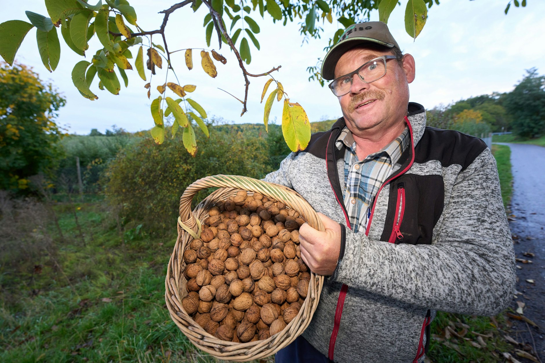 Obstbauer Thomas Kreuter erntet am Stadtrand von Koblenz Walnüsse. Sie sind nur Nischenprodukte für Obstbauern, erfreuen diese aber mit einer guten Ernte. Trotz langer Trockenheit im Sommer gab es vergangenen Herbst sehr viele Walnüsse. 