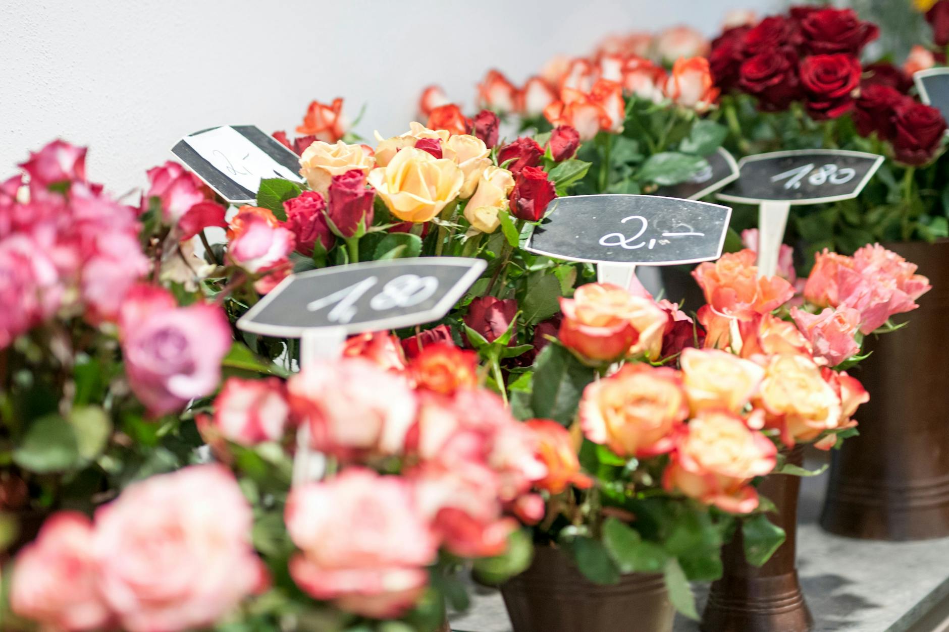 Am Valentinstag stehen besonders viele verschiedene Rosen zum Verkauf. Viele haben einen weiten Weg hinter sich. 