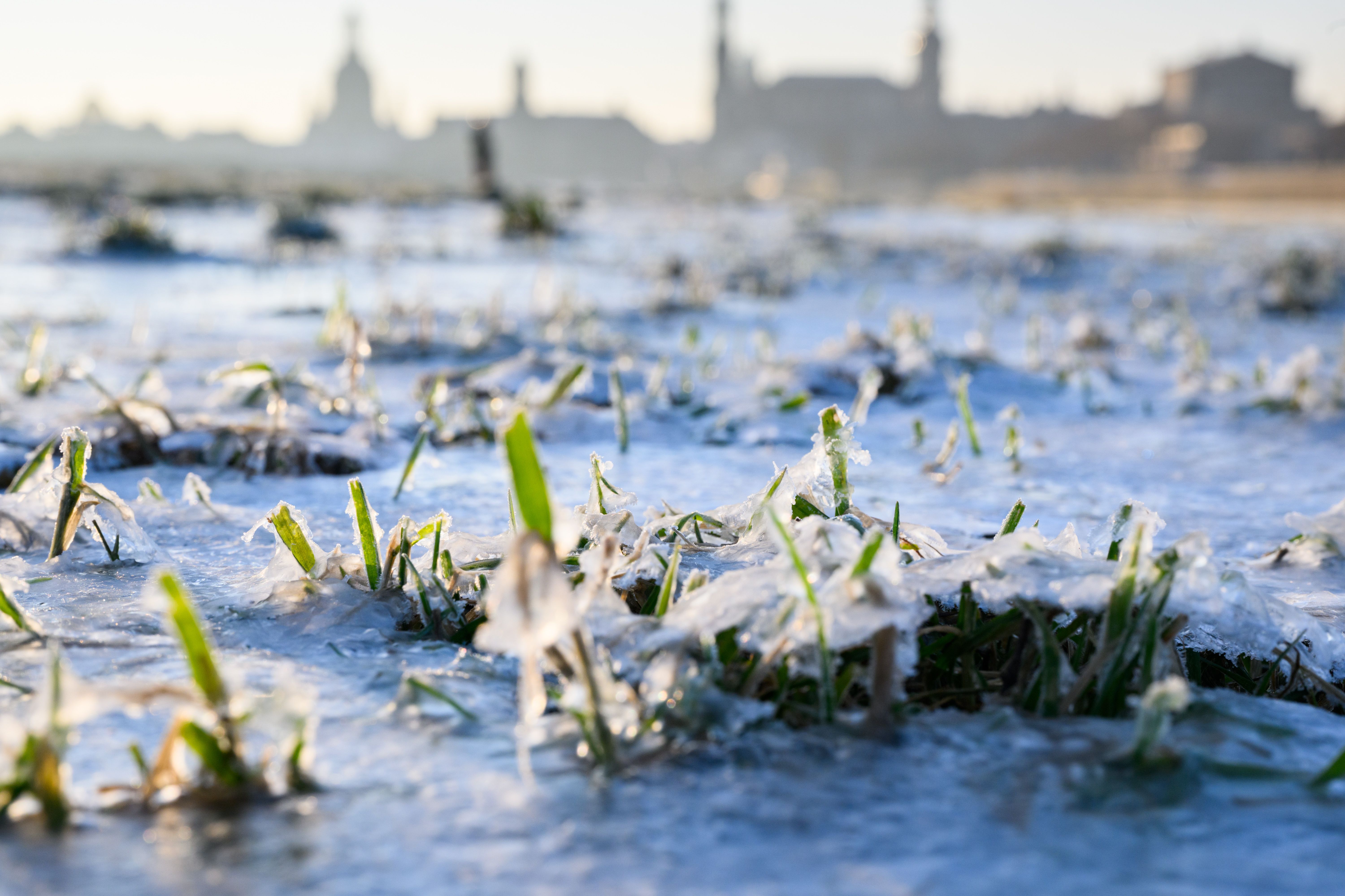 Image - Minus 15 Grad! Wetter-Experte spricht von brachialem Kälteeinbruch Ende Februar – ABER …