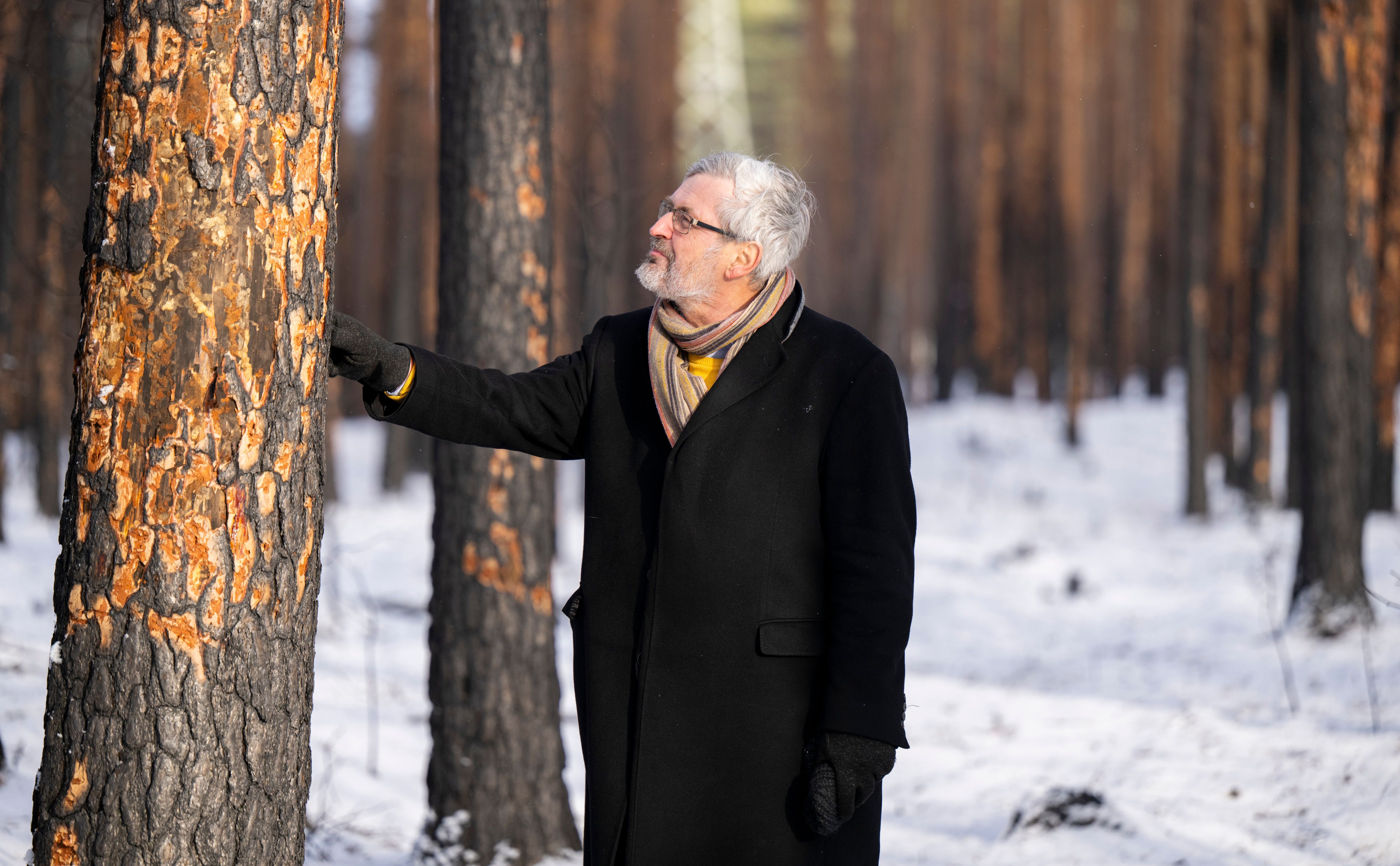 Image - Dürfen wir im Sommer nicht mehr in den Wald?