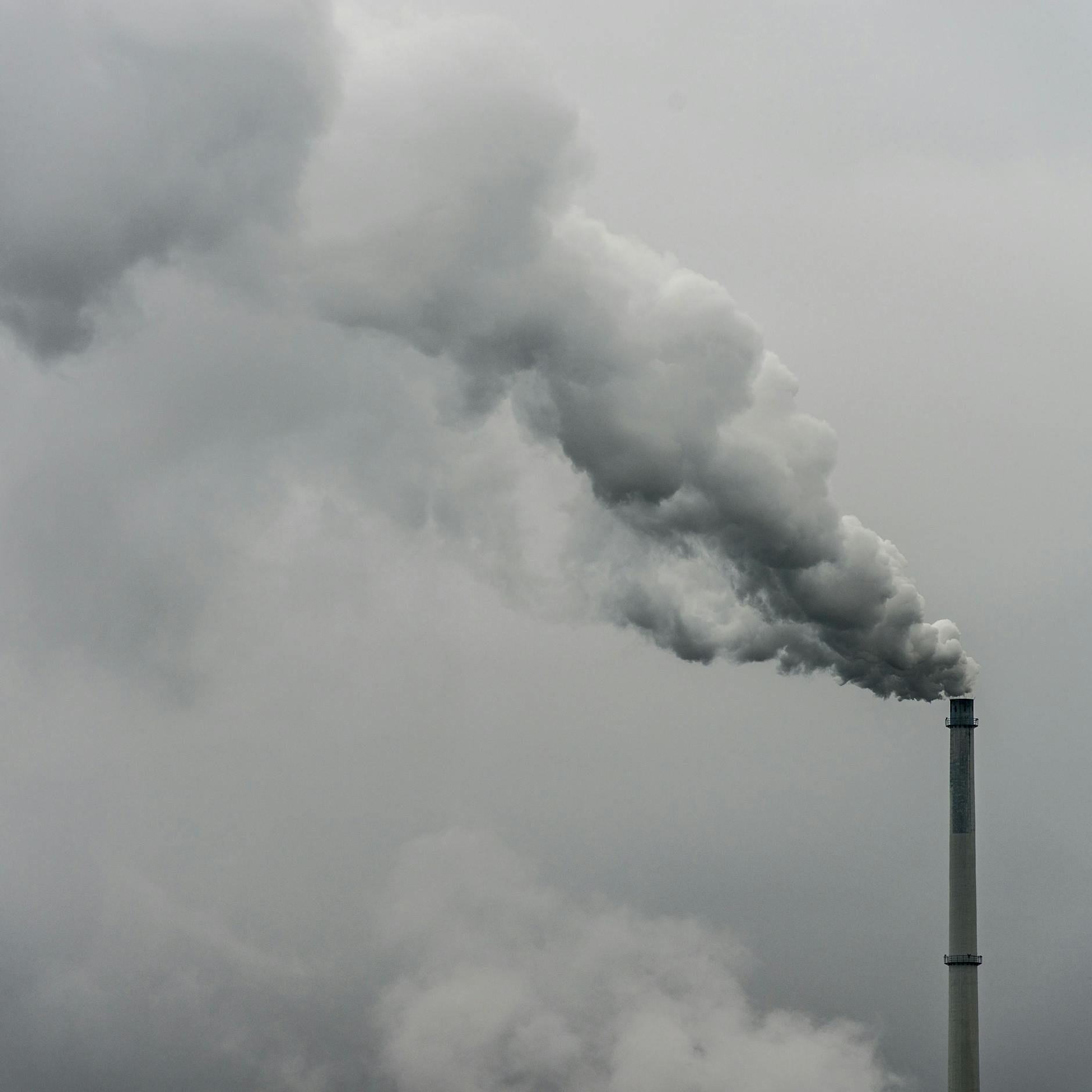 Studie zeigt: Mehrheit der europäischen Unternehmen hat keinen Plan gegen die Klimakrise