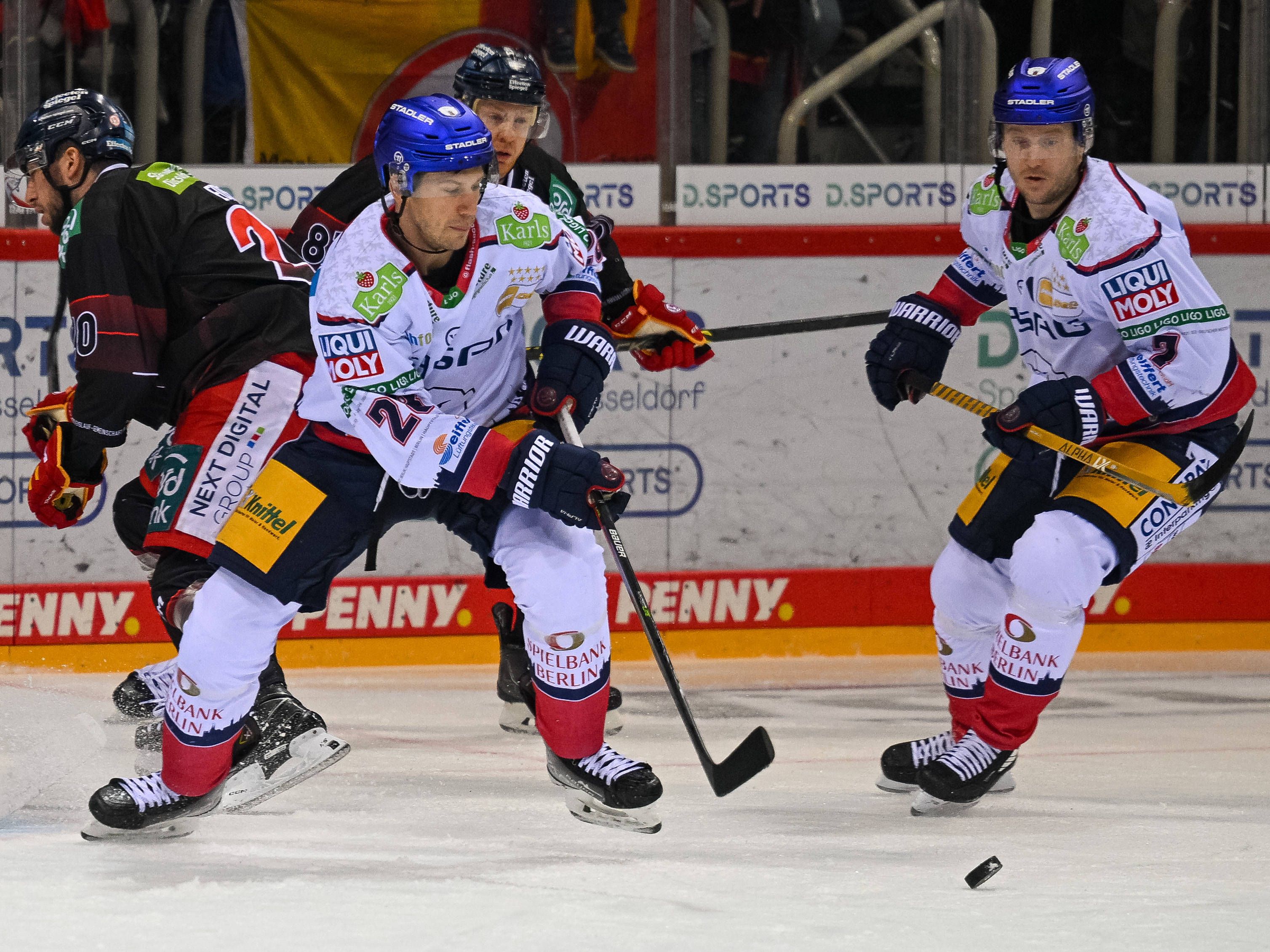 Image - „Franktastisch“: Mauer und Hördler verleihen Eisbären neue Power für die Pre-Play-offs