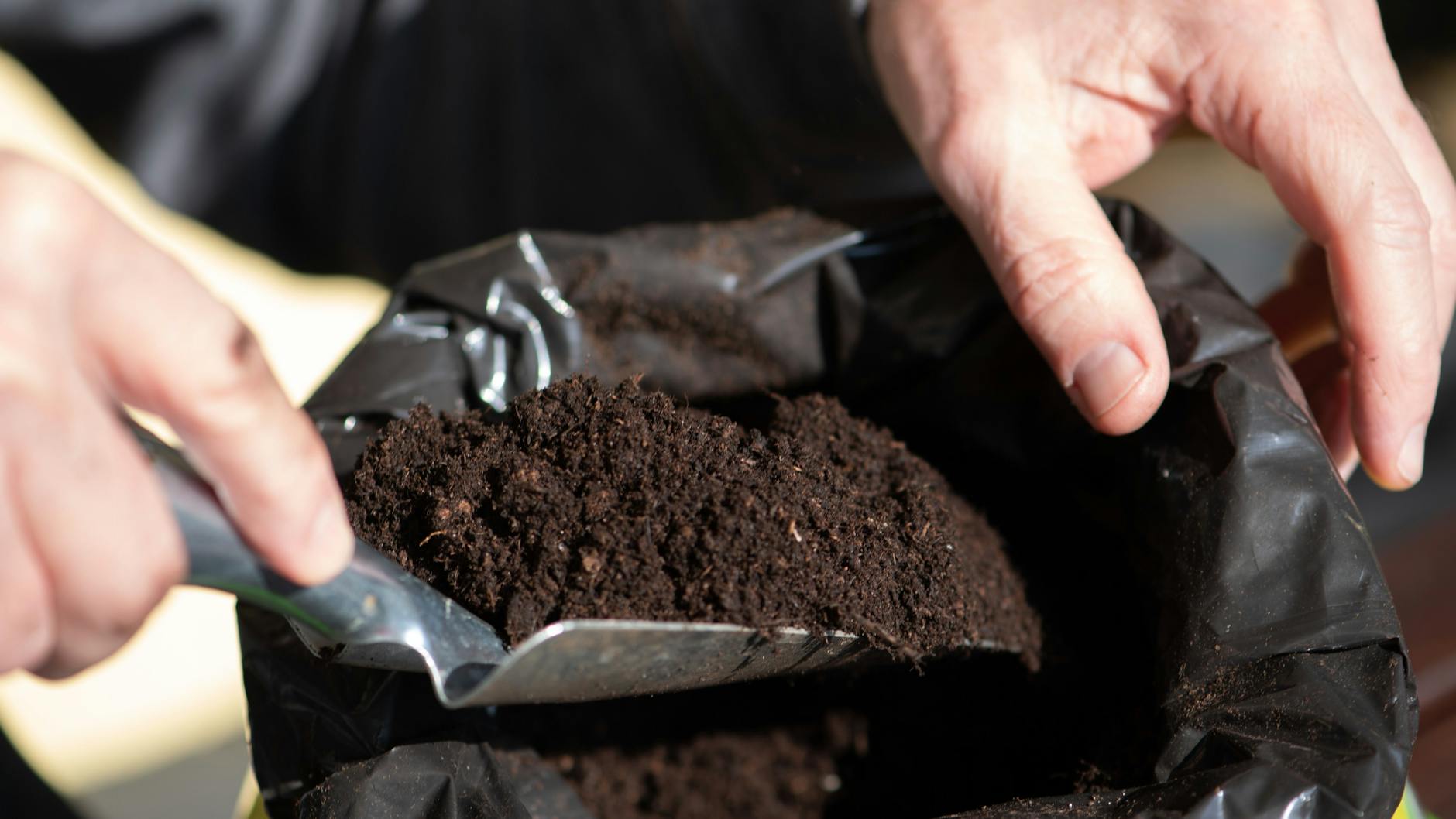 Frisch gekaufte Blumenerde macht mitunter den Eindruck, schlecht geworden zu sein. Denn sie muffelt. 