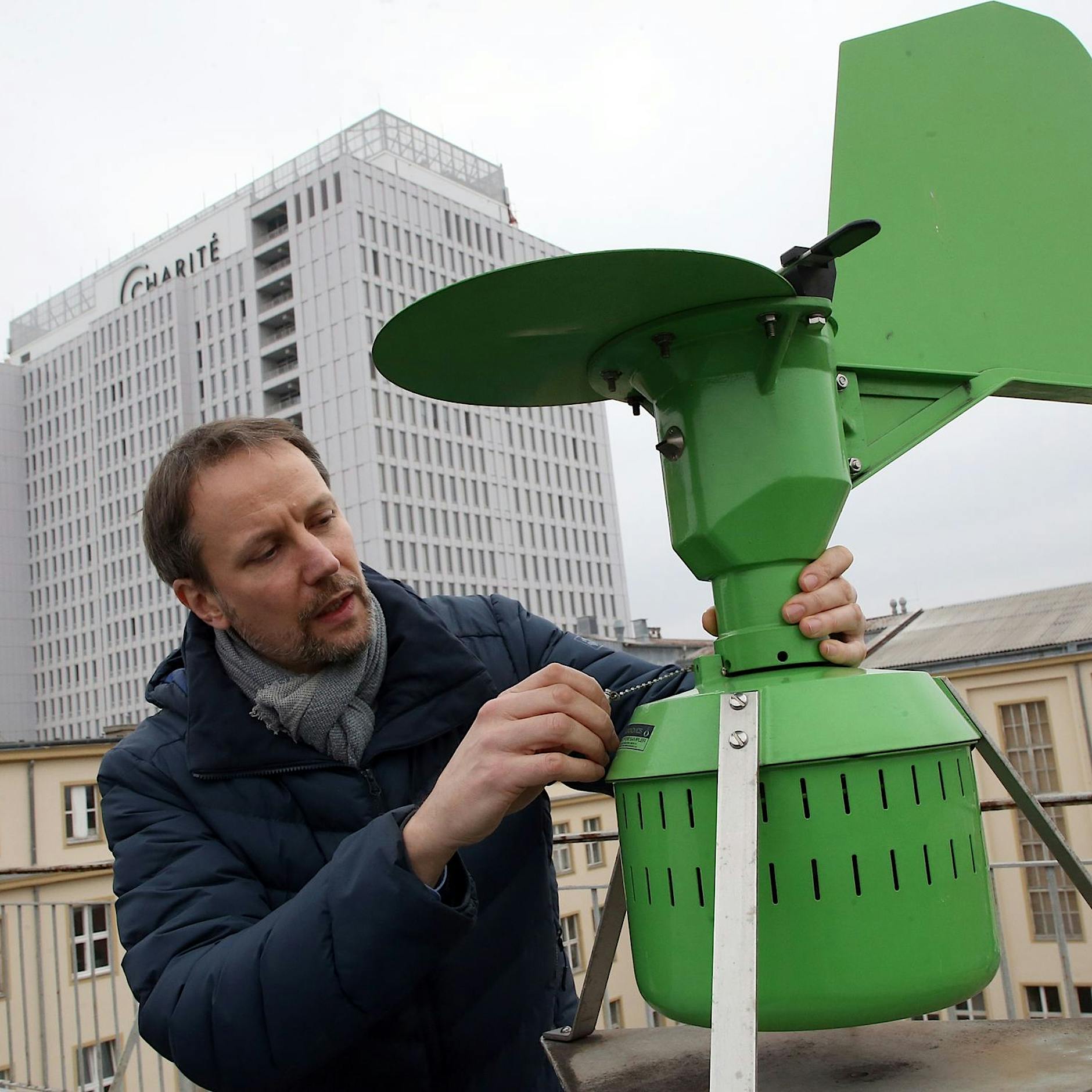 Was der Klimawandel für Heuschnupfen-Geplagte bedeutet