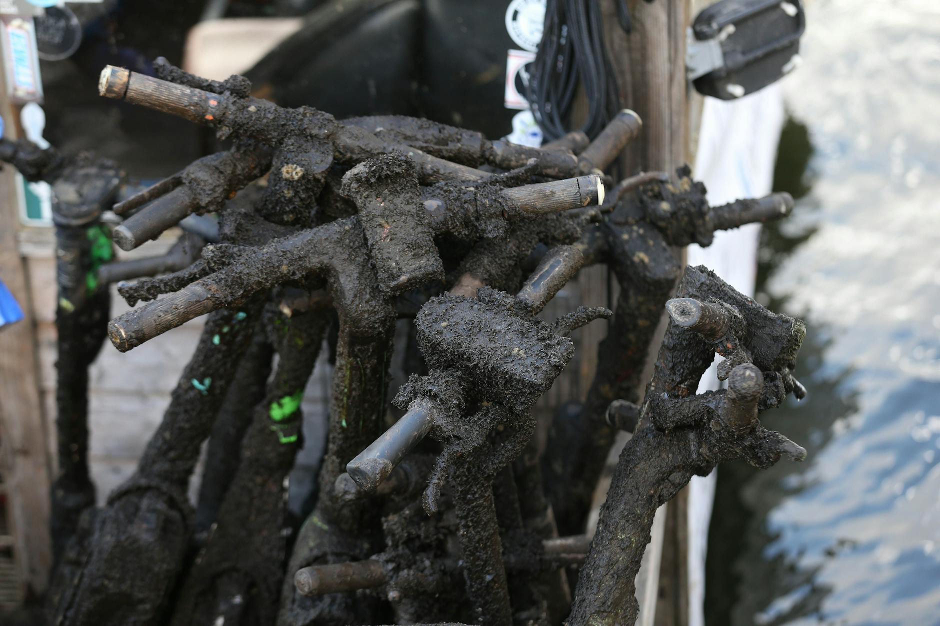 Schrott aus der Spree: Insgesamt wurden 25 Elektroroller am Sonntag aus dem Fluss geholt.
