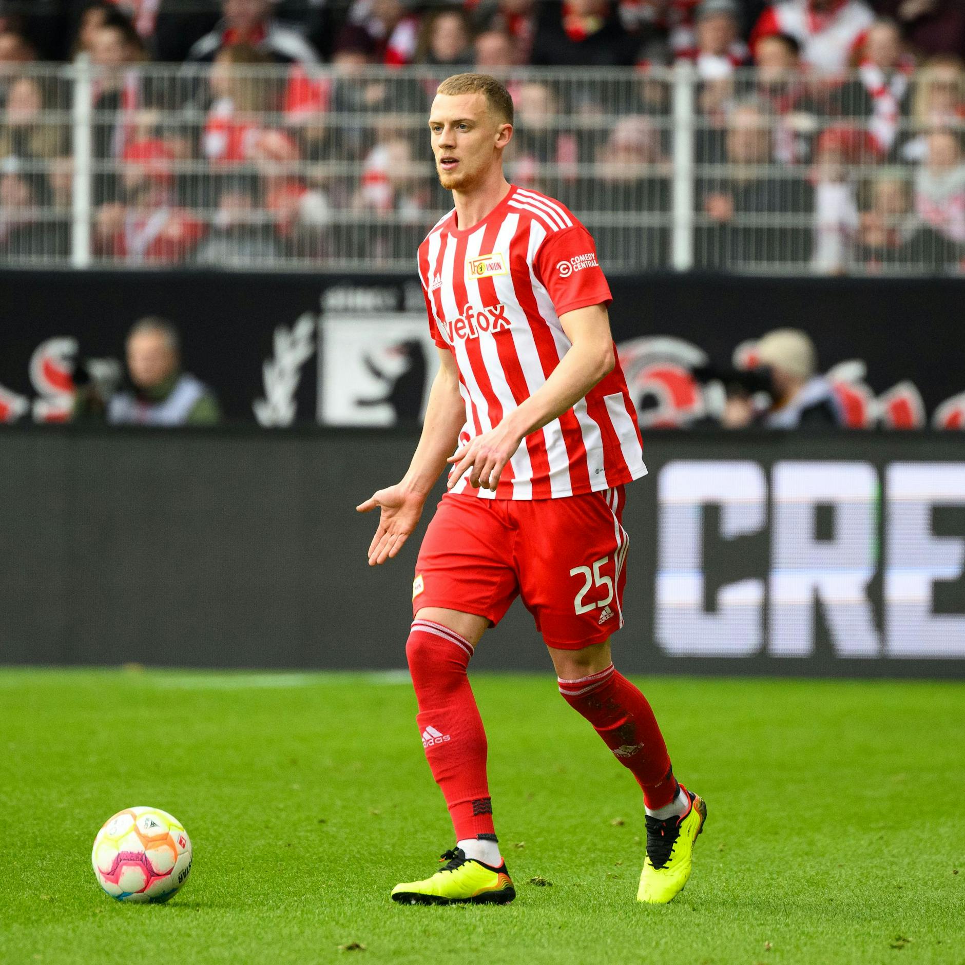 Image - Timo Baumgartl: „Vermutet habe ich es, gehofft nicht“