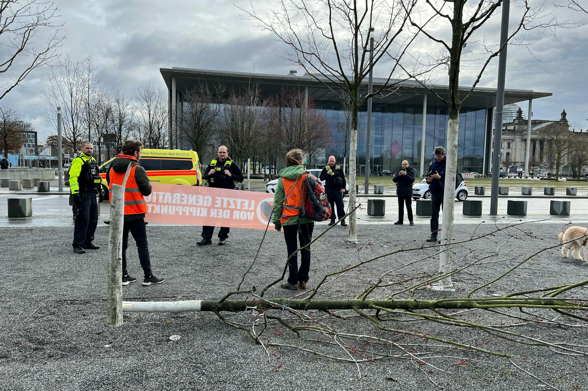Die Klima-Kleber und ihr Baum