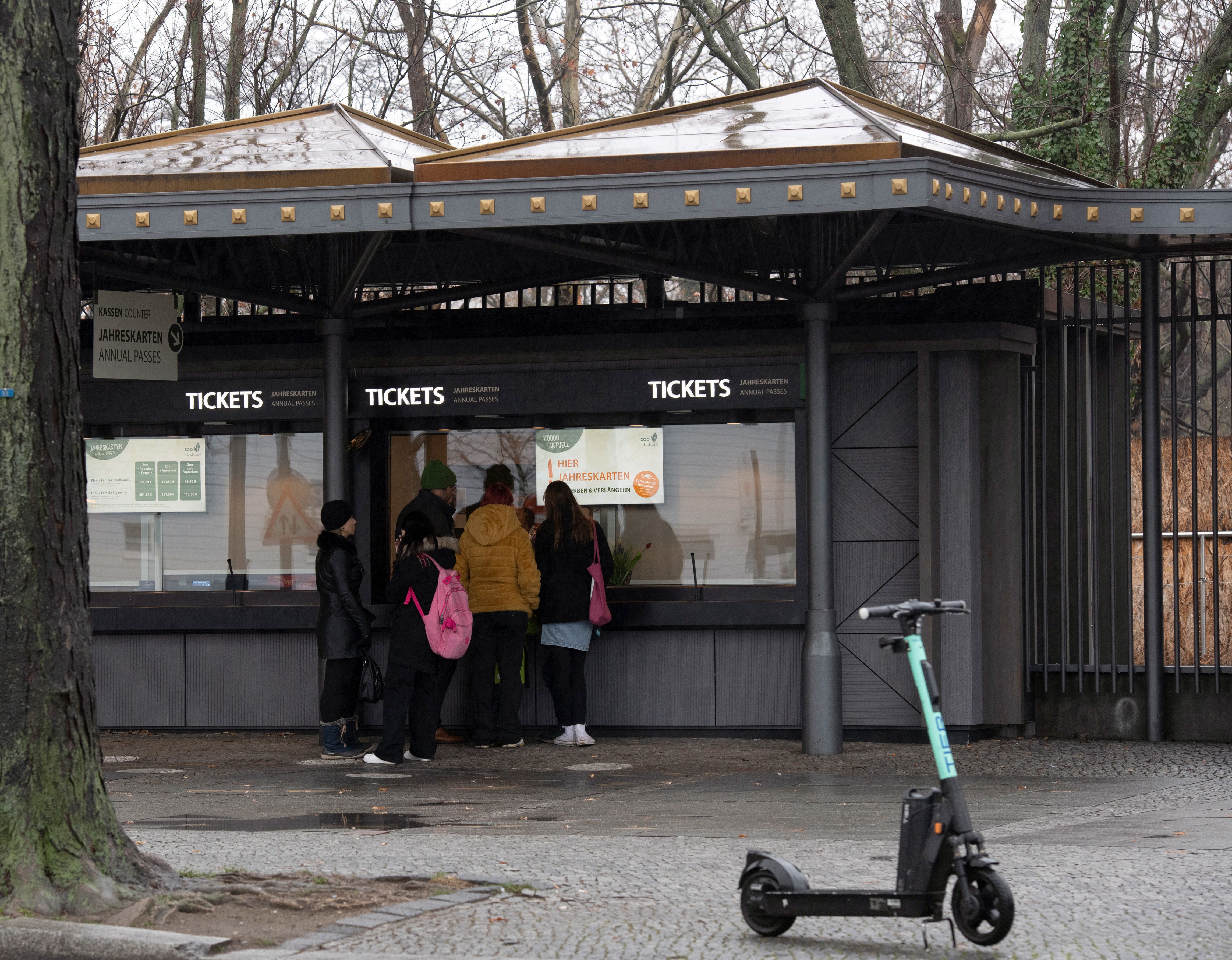 Berliner Zoo und Tierpark erhöhen die Preise: DAS müssen Sie ab dem 1. April zahlen