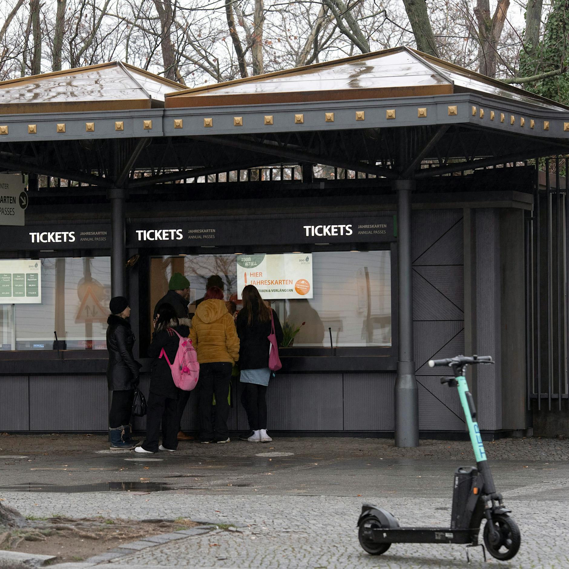 Berliner Zoo und Tierpark erhöhen die Preise: DAS müssen Sie ab dem 1. April zahlen