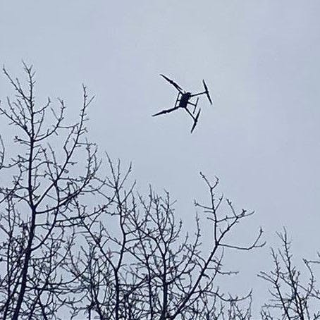 Mit einer Drohne wurde das Areal um den Fundort des Kindes vermessen.