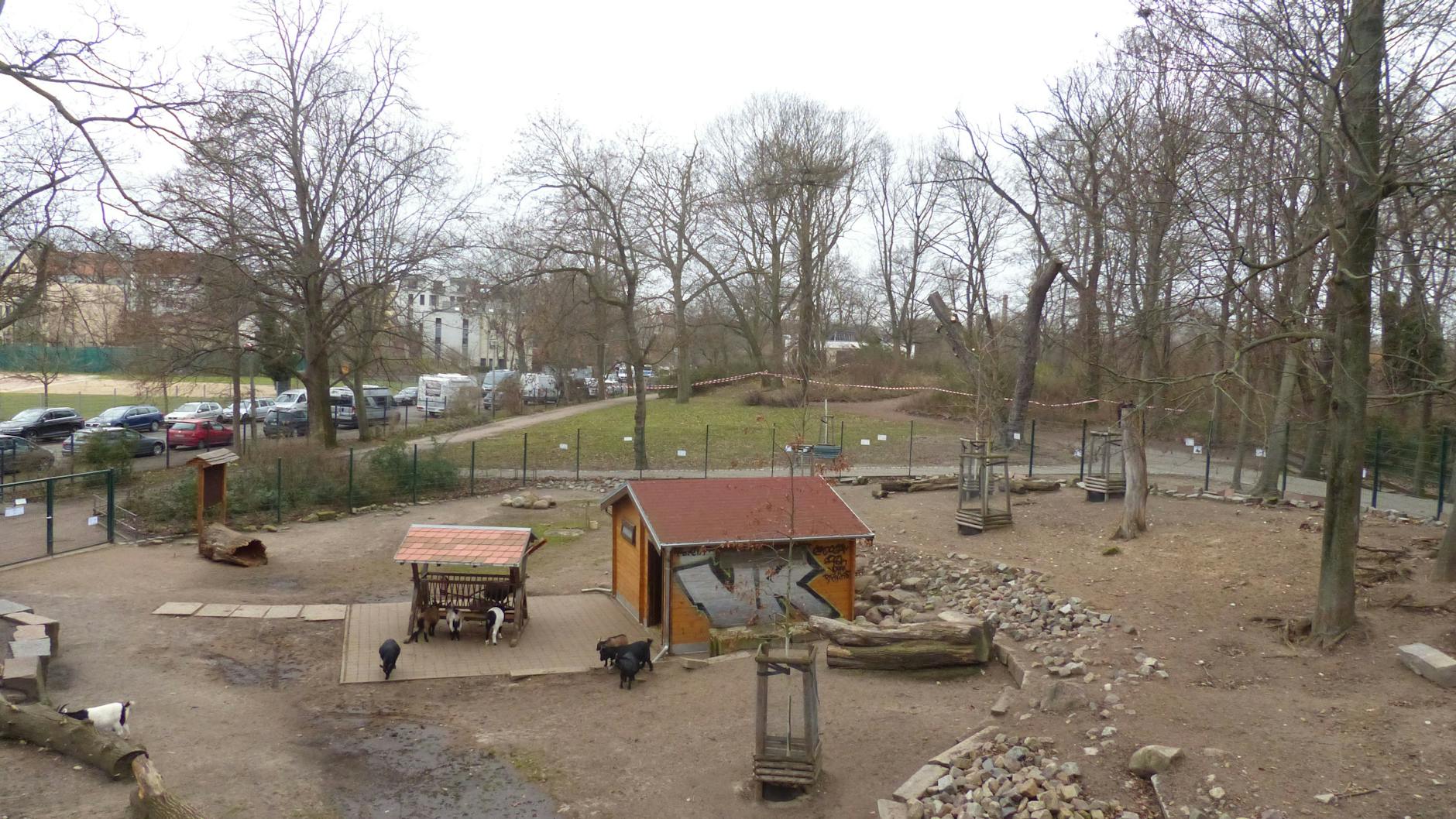 Der mutmaßliche Tatort ist der mit rot-weißen Bändern abgesperrte Hügel im Hintergrund, ganz in der Nähe des Ziegengeheges im Bürgerpark. Links die Wilhelm-Kuhr-Straße.